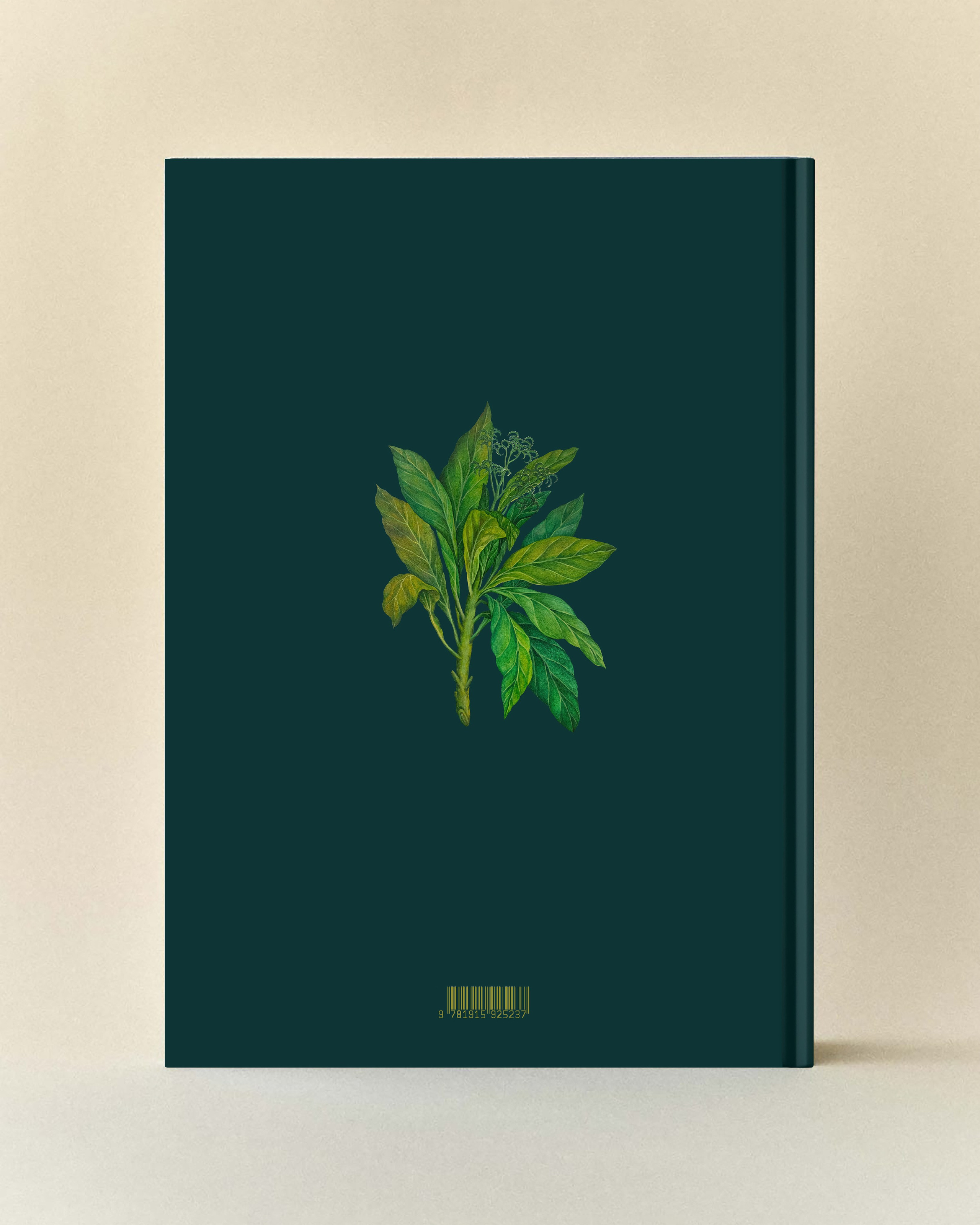 The monograph by Elen Bezhen. ELEN BEZHEN