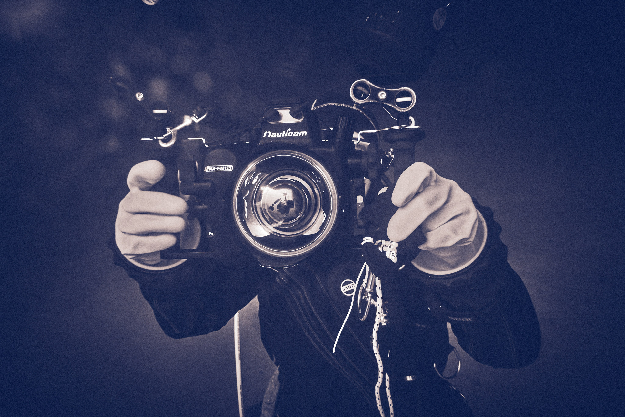 Portrety podwodne. Андрей Шипилов — Фотография & Видеография