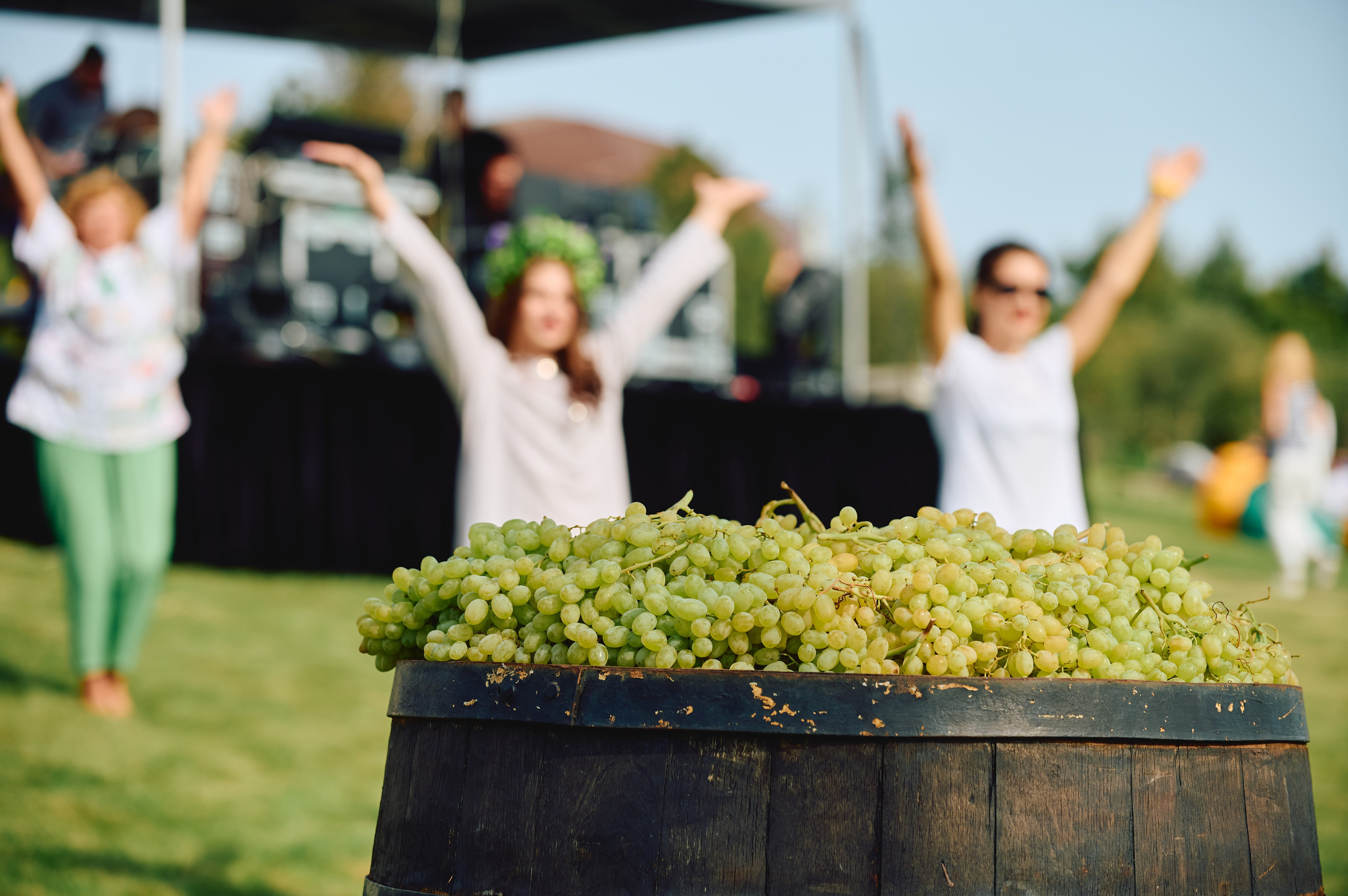 WineFest. Event photographer