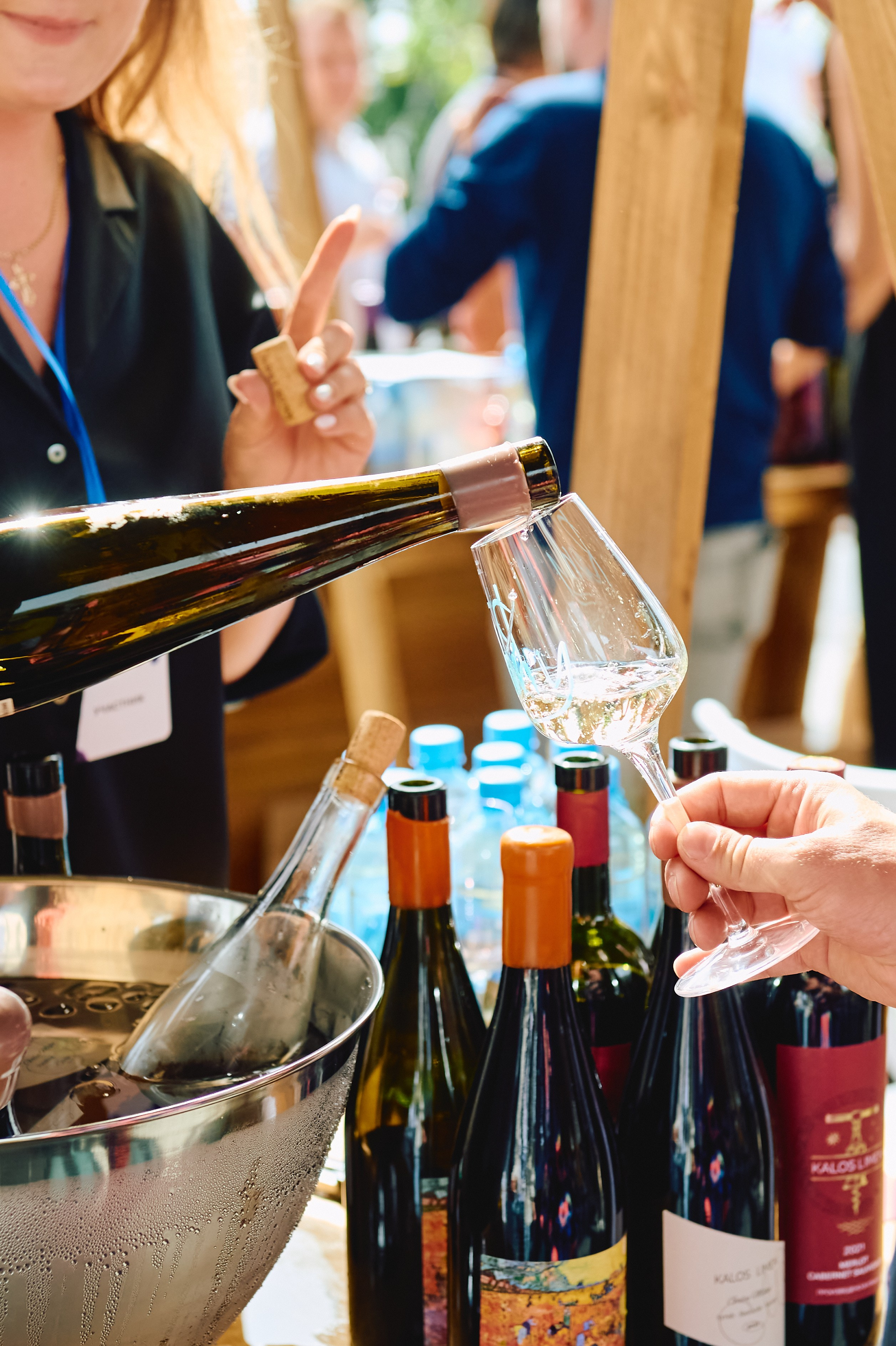 WineFest. Event photographer