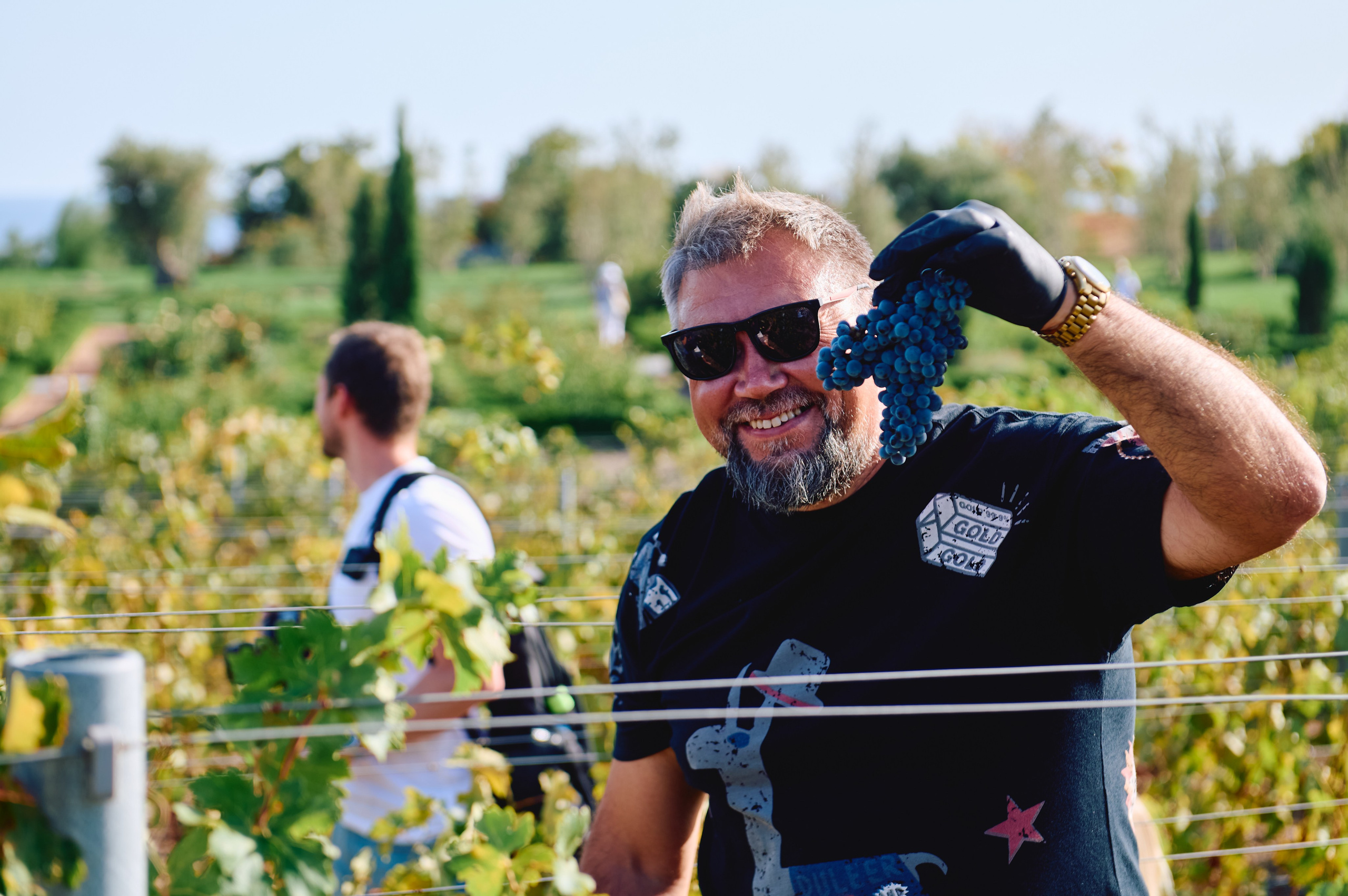 WineFest. Event photographer