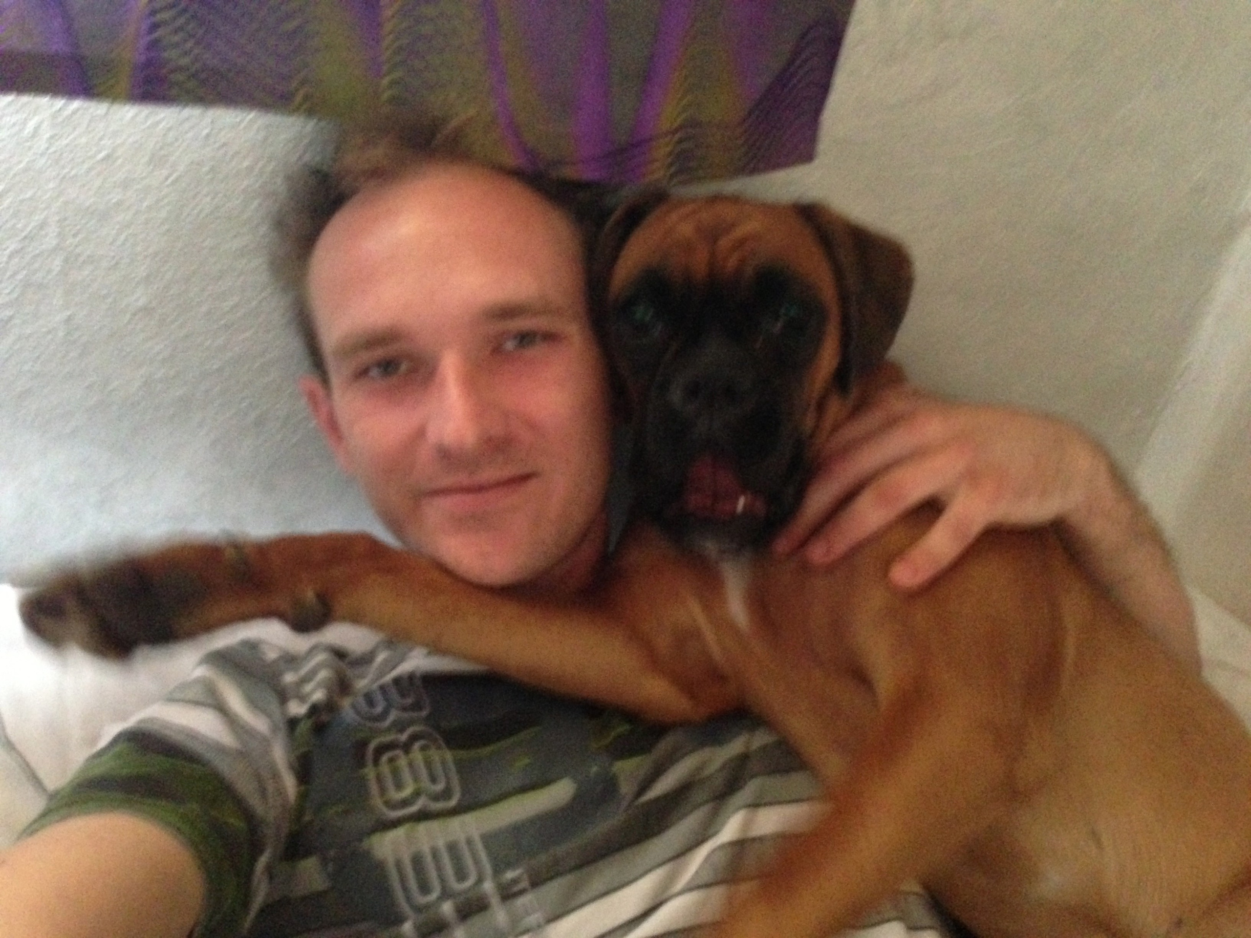 My ״Star״ Boxer Dog