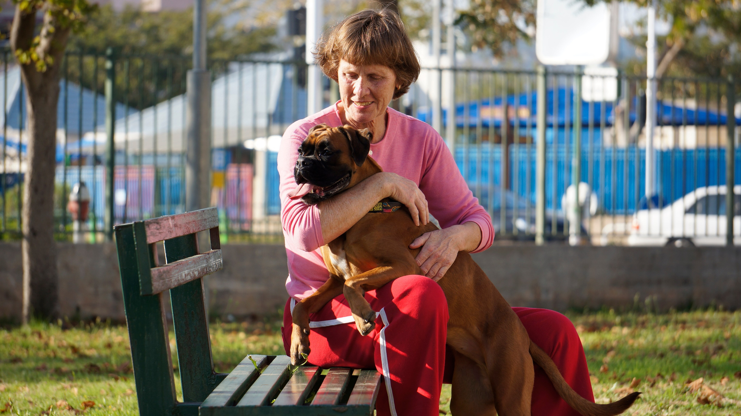 My ״Star״ Boxer Dog