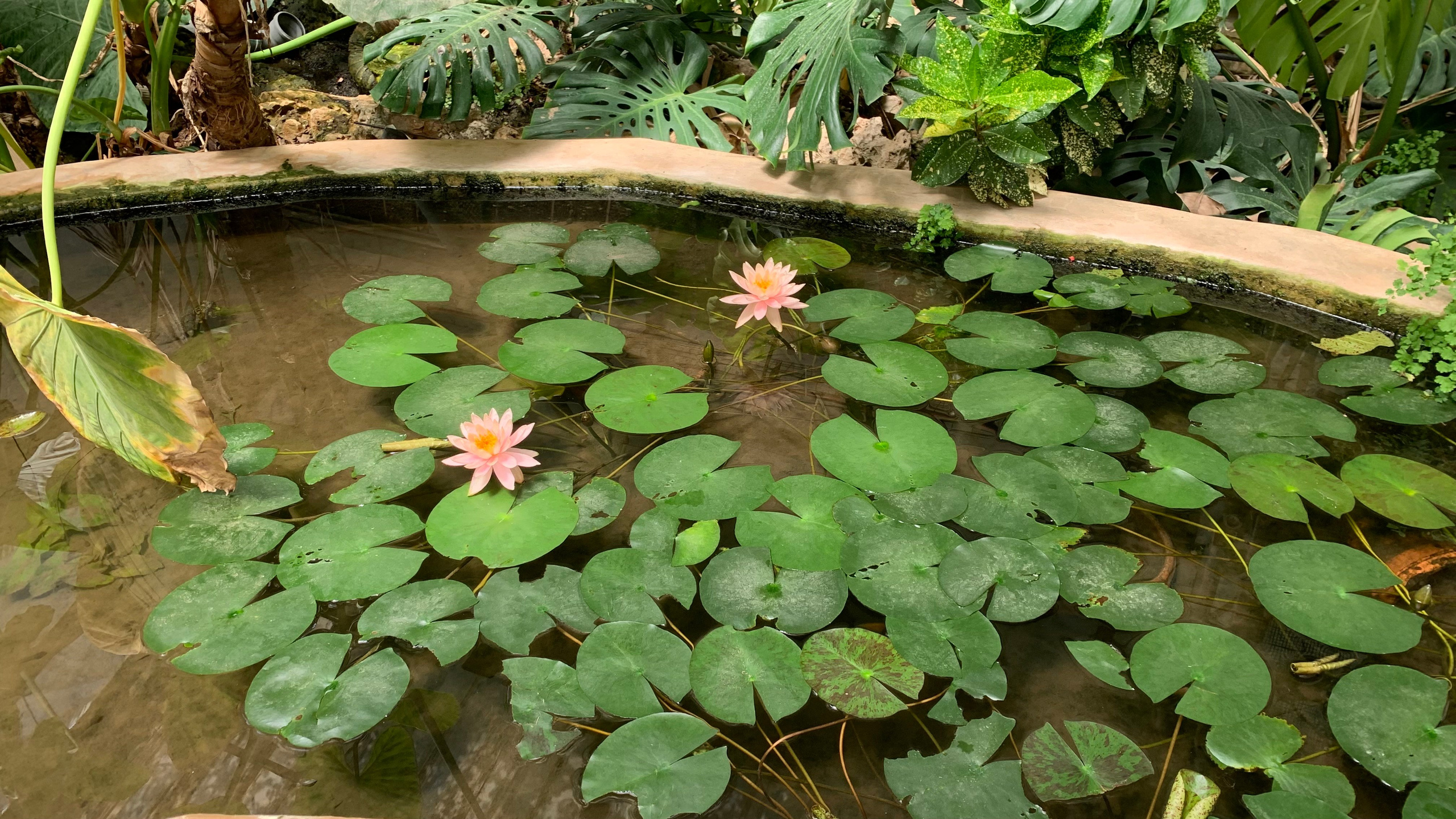 Everything from everything