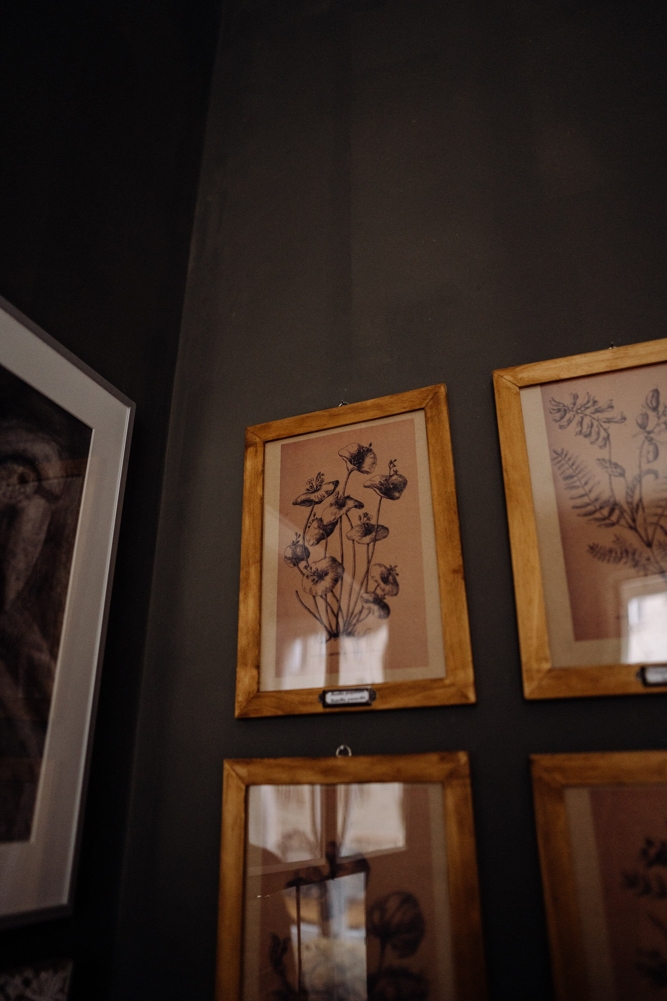 Elena. Фотограф в Праге Анна Лебедева