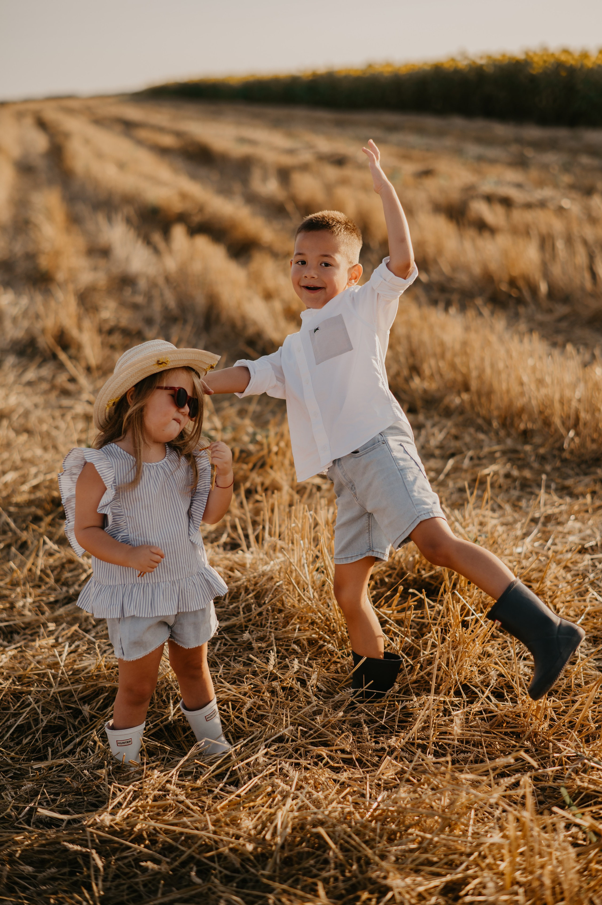 Polje suncokreta. Ana Sladojevic