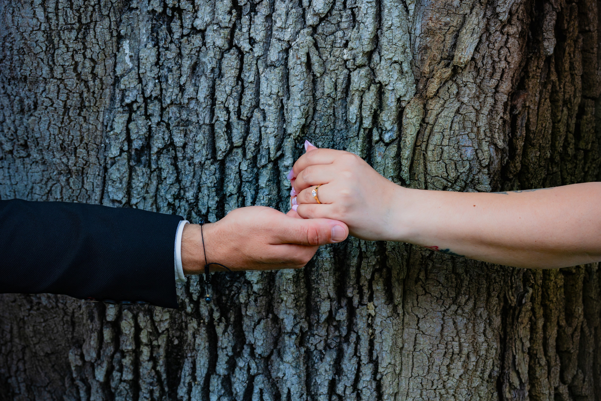 Cununie Elena si Mihai. Ionut Brehuescu — Fotograf