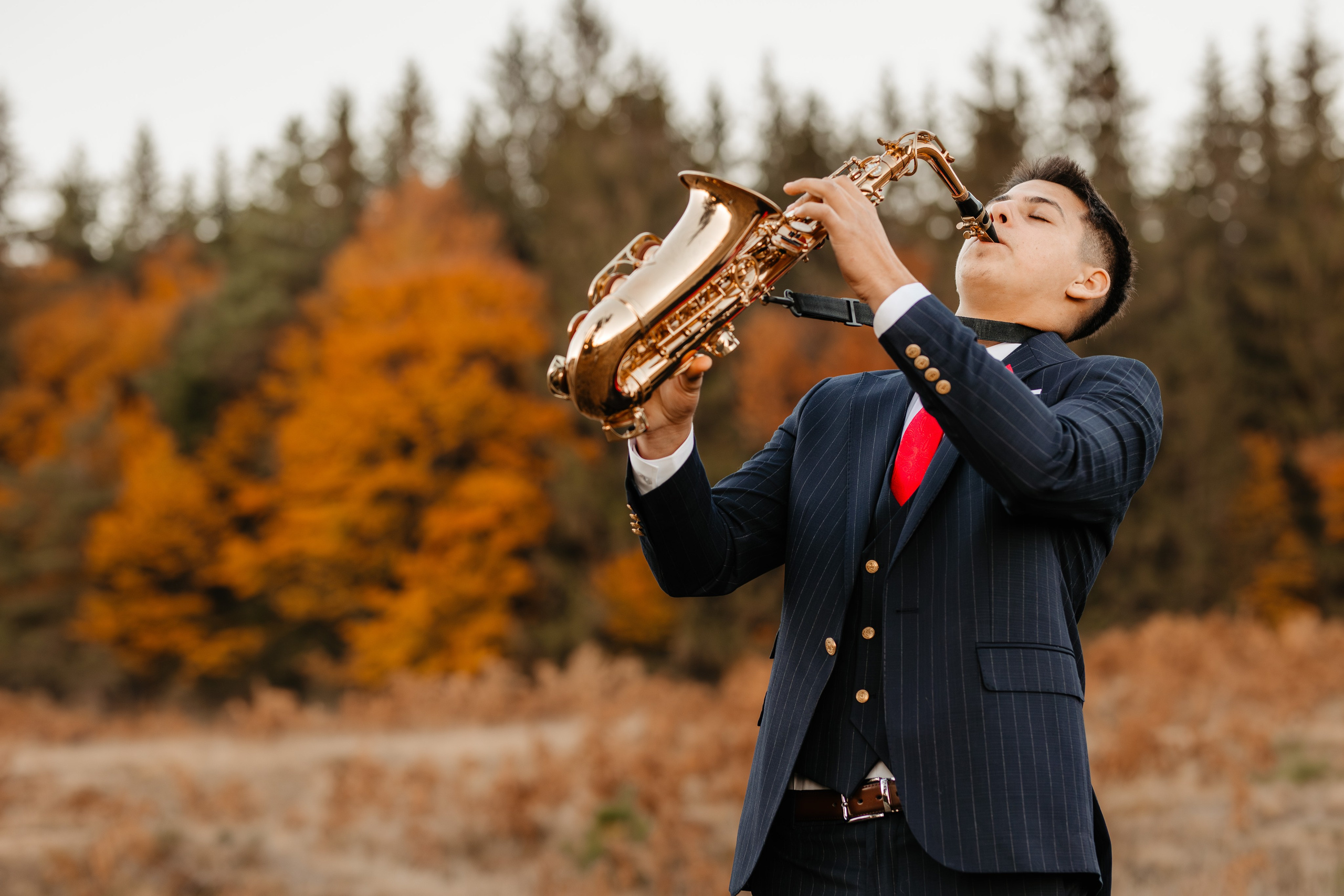 Majorat Stefan. Ionut Brehuescu — Fotograf