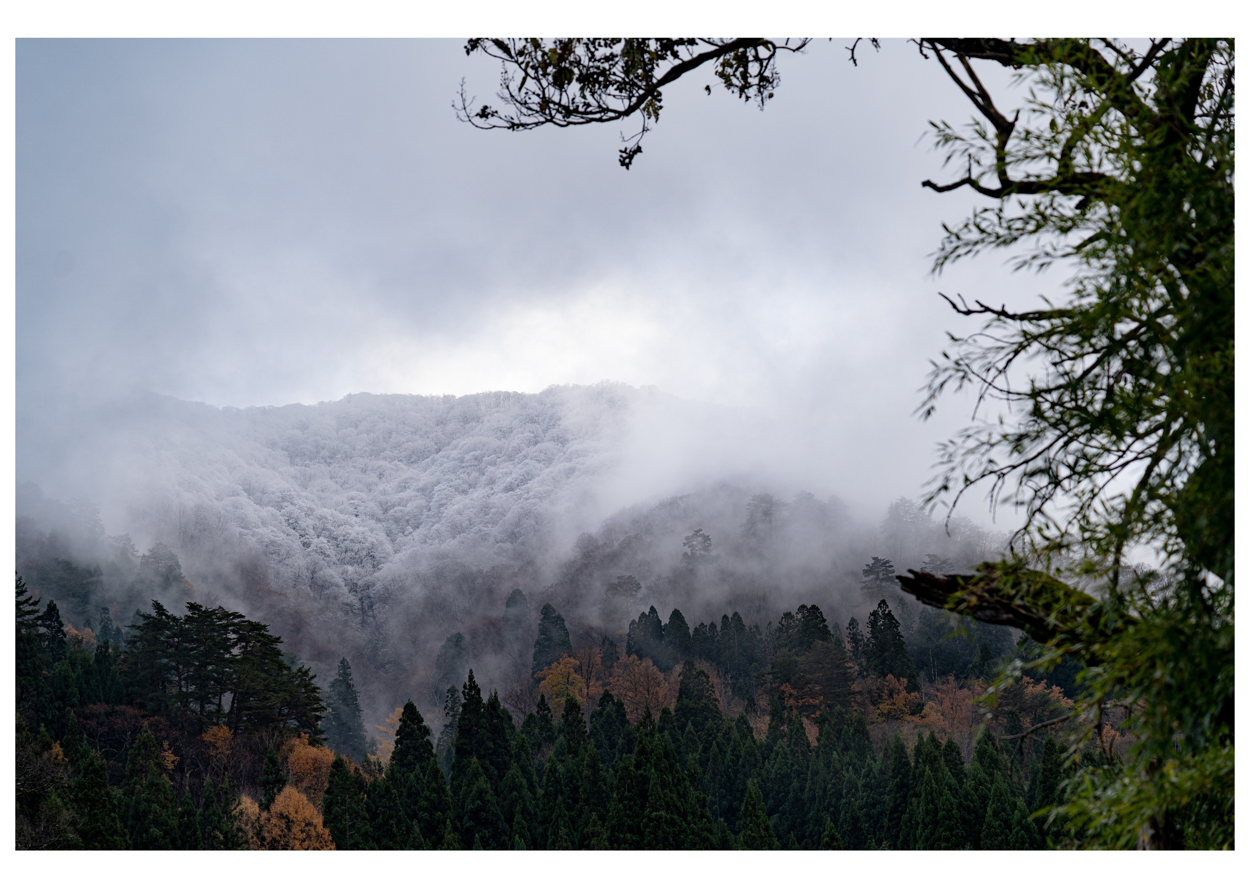 Мои работы. Фотограф в Кишиневе, Чадыр-Лунге, в Комрате Ковалева Зинаида