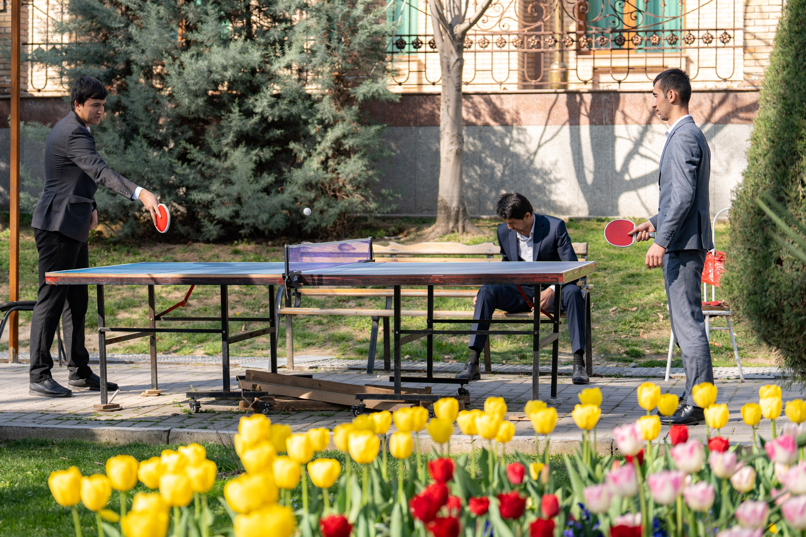 Весенний вайб Ташкента. Георгий Намазов | Фотограф в Ташкенте