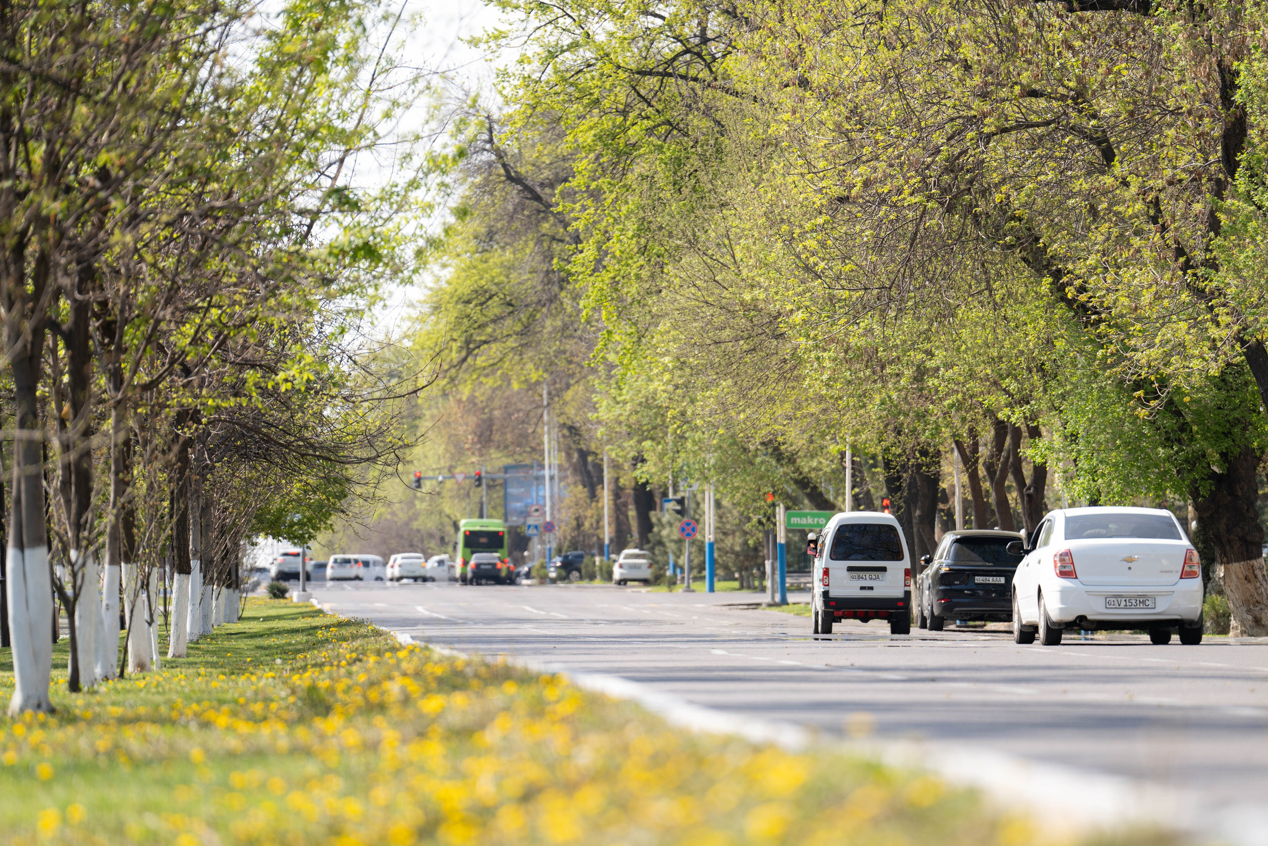 Весенний вайб Ташкента. Георгий Намазов | Фотограф в Ташкенте
