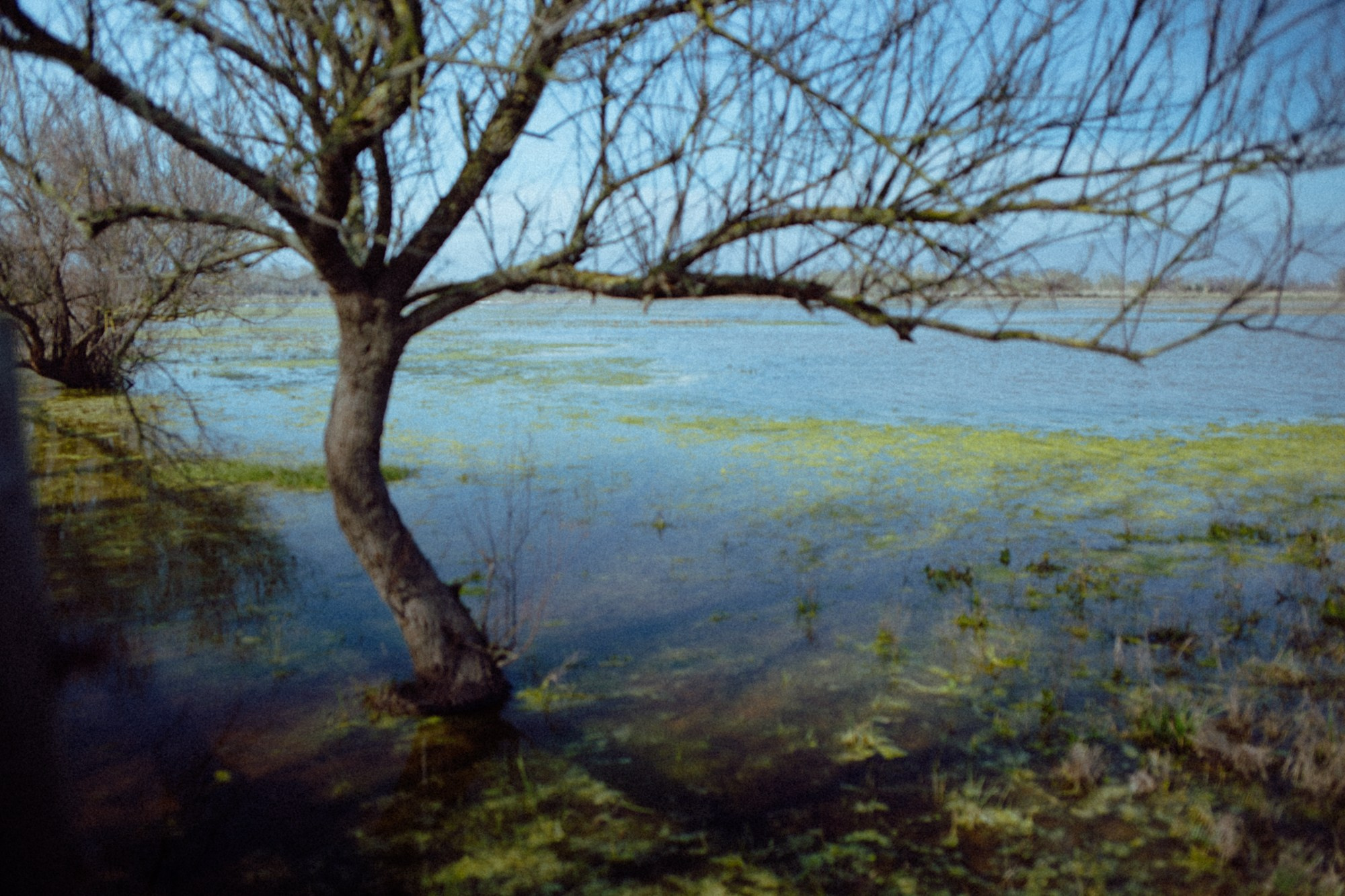 TRIP TO THE MOUNTAINS. Marina Kálcheva – Photographer & Visual Artist in Barcelona