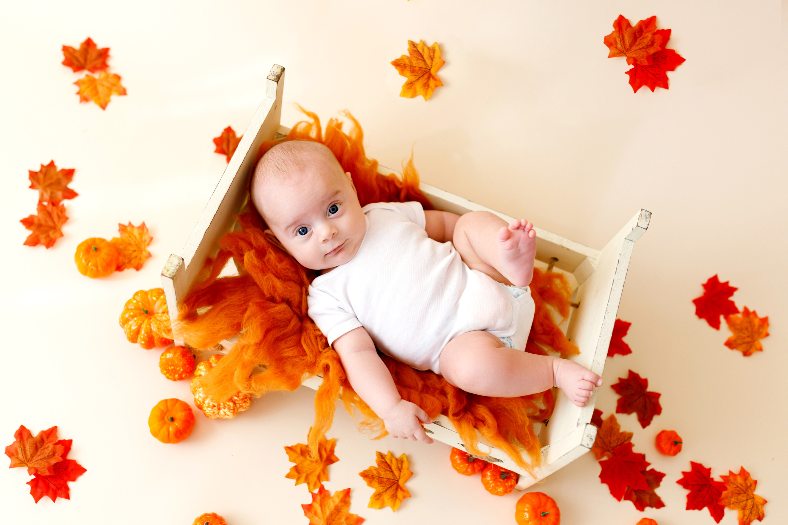 Bebè. I vostri ricordi più preziosi