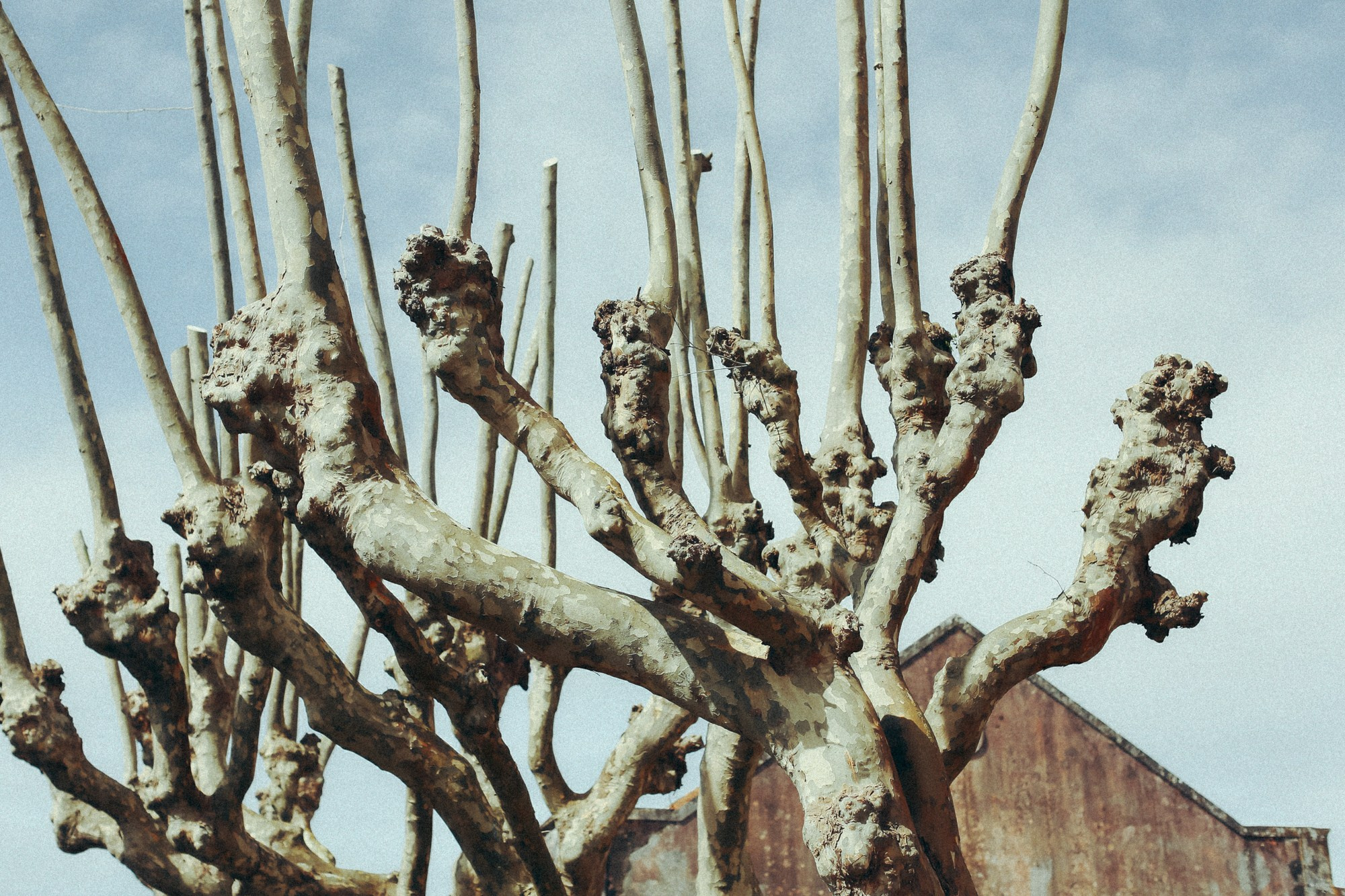 Португалия. Портретный фотограф Алена Новгородцева