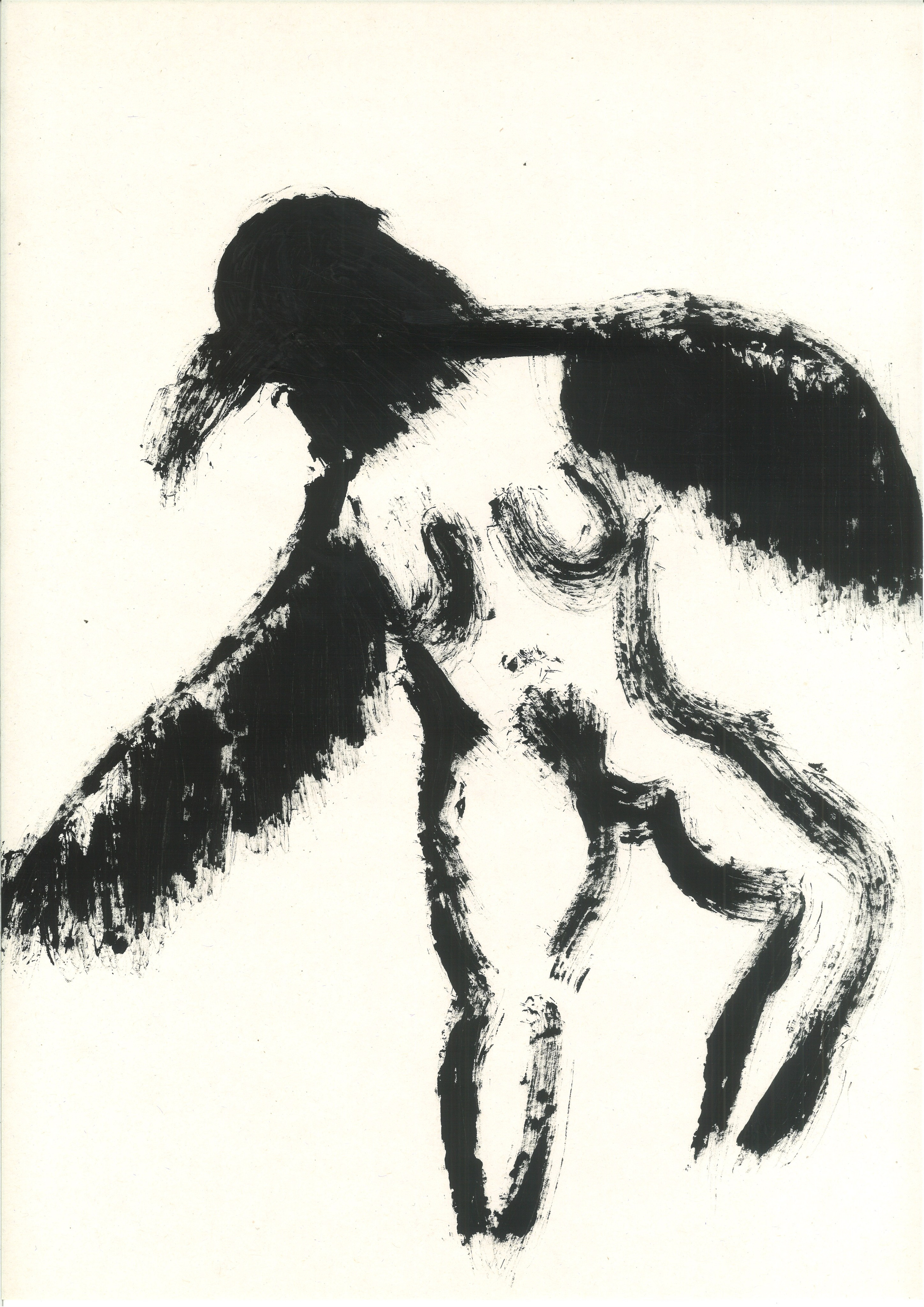 Dancing bird 2022. Haim Sokol’s artists website