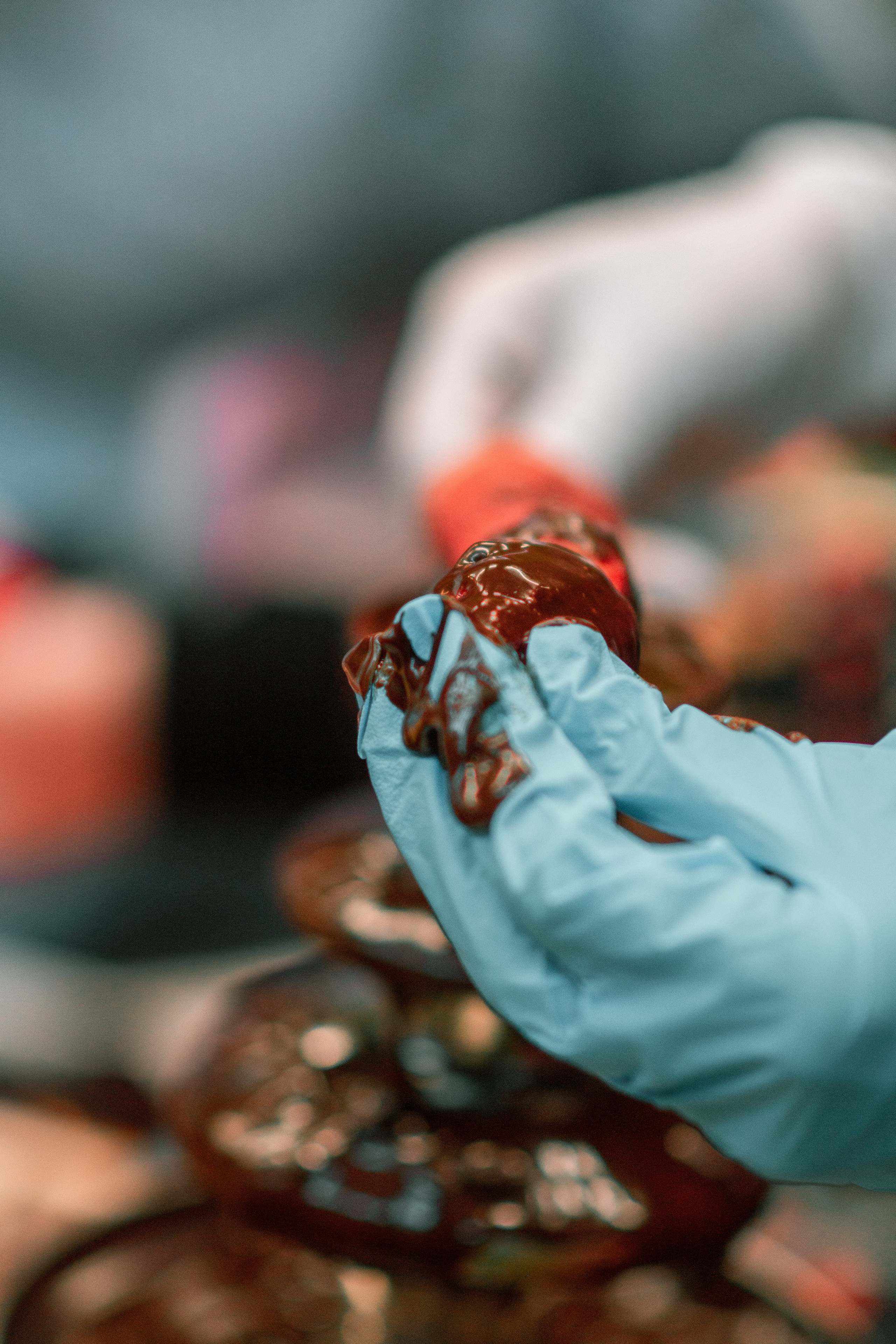 Ярмарка. Семейный и детский фотограф