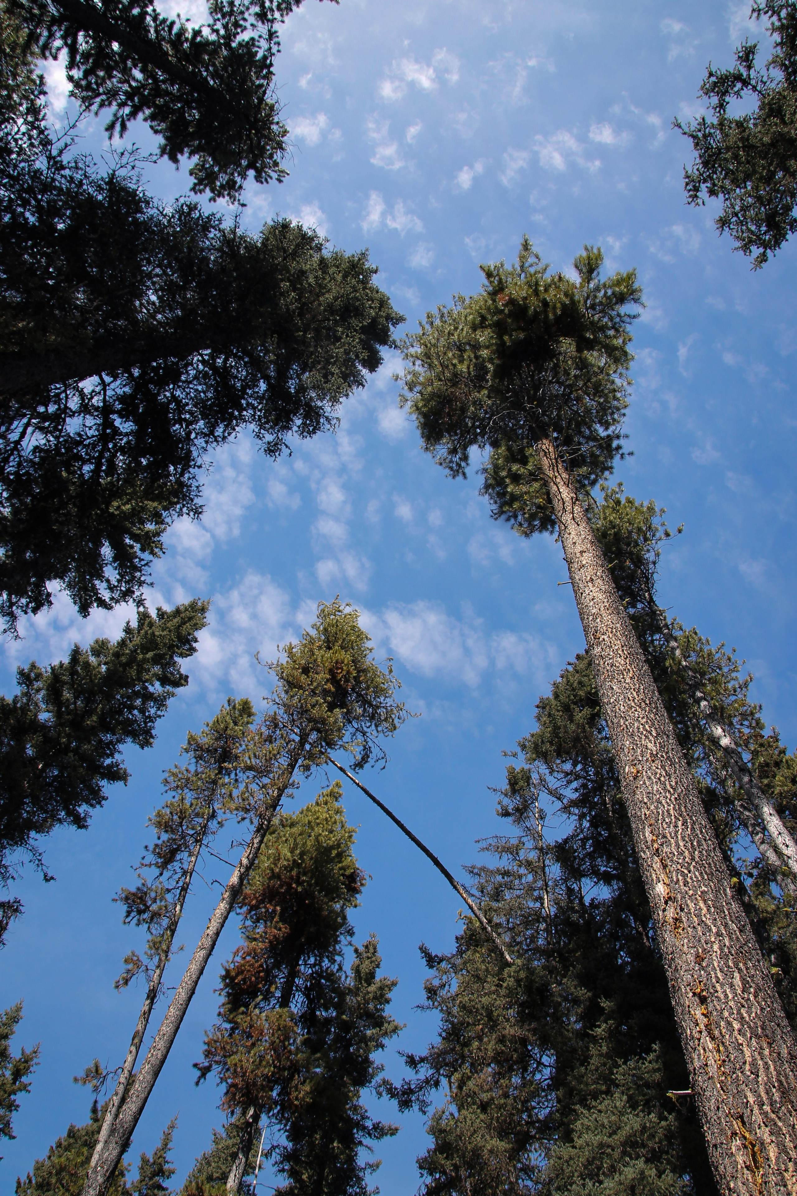 Johnson Canyon. Emiliia Kotruch PHOTOGRAPHER