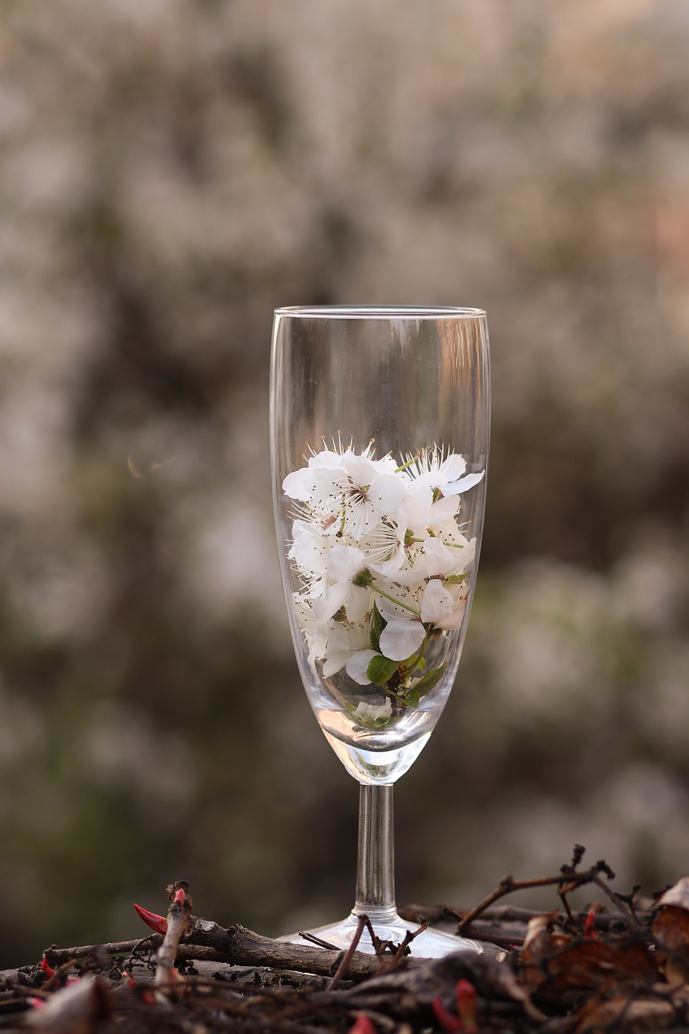 Alena Blüte. Ihr Fotograf in Nürnberg und Umgebung
