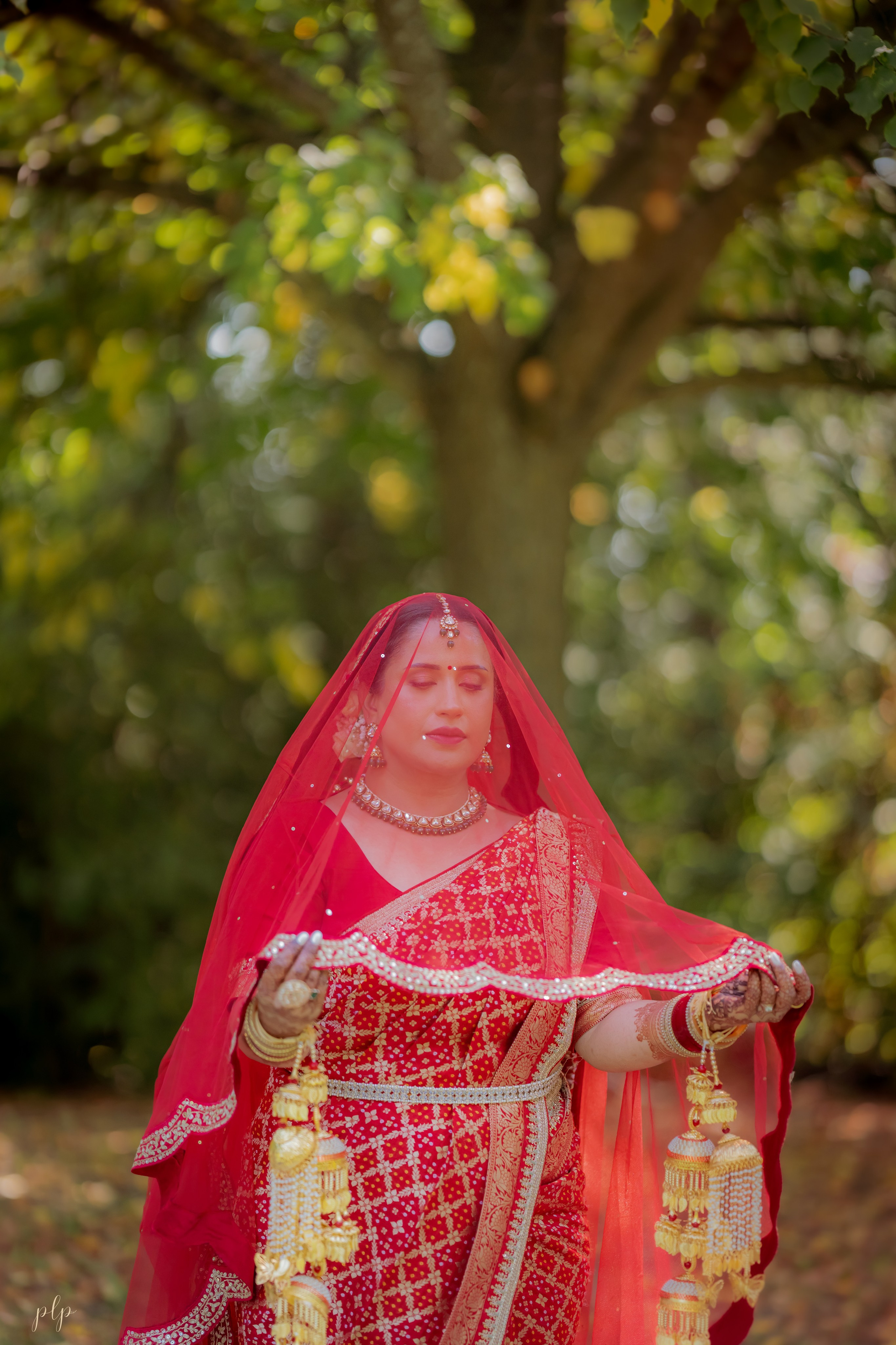 Arti & Dan. Wedding Photographers and Filmmakers