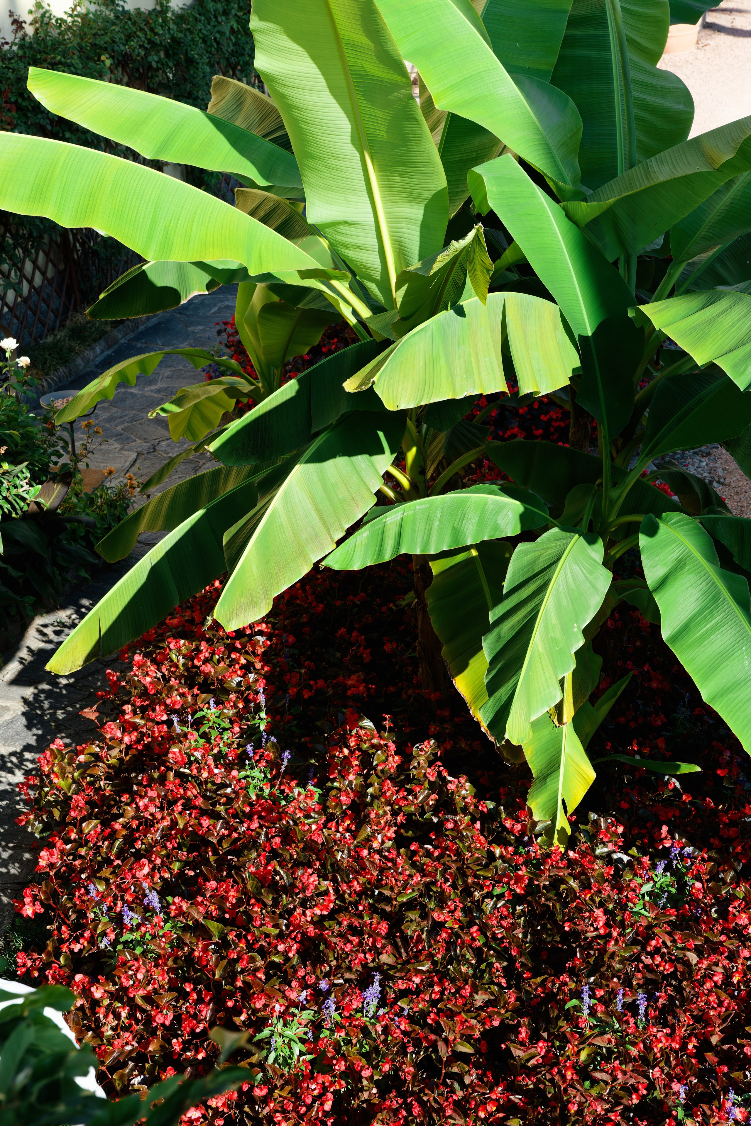 Wedding at Villa Porta on Lake Maggiore