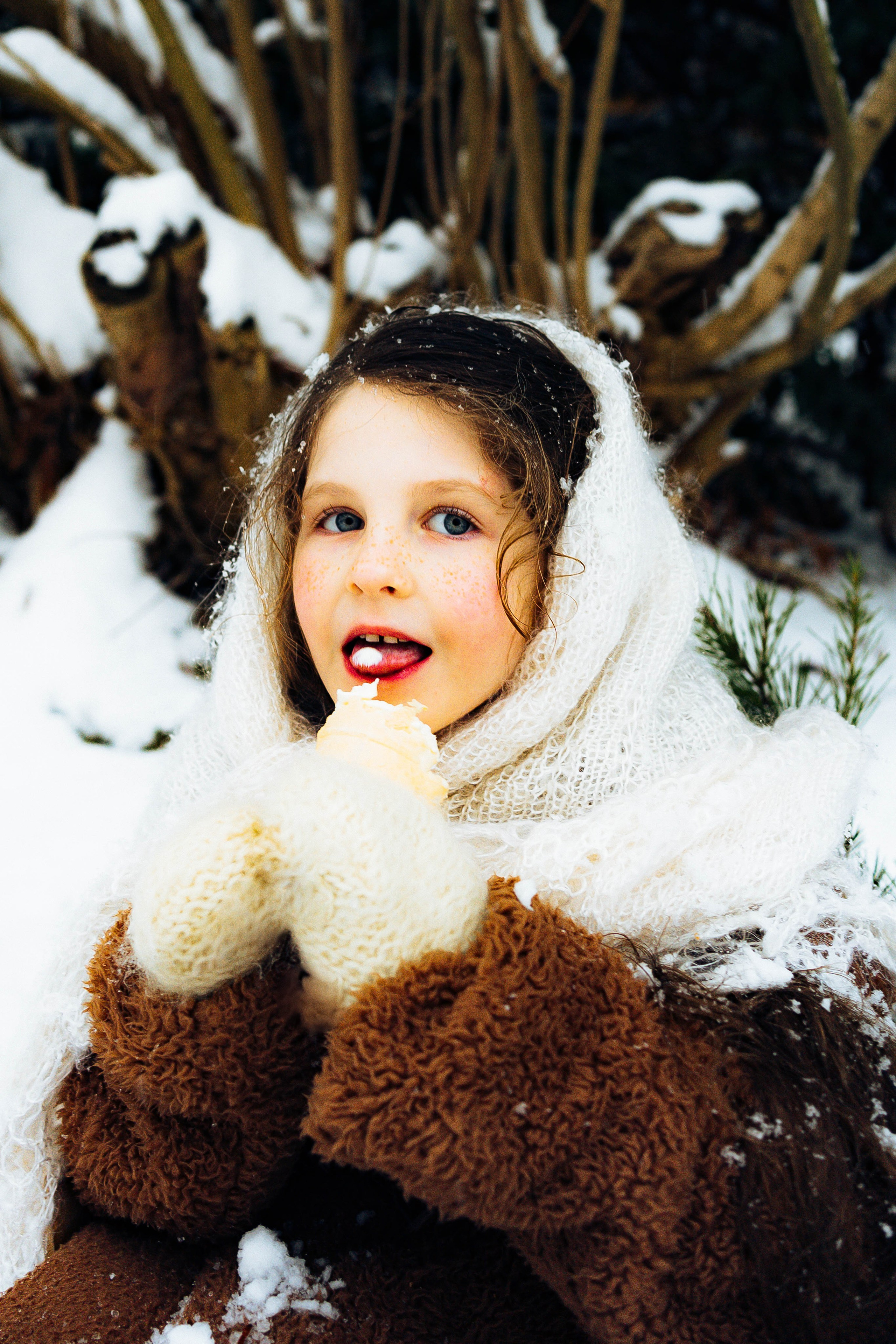 Snow in Vancouver. Main