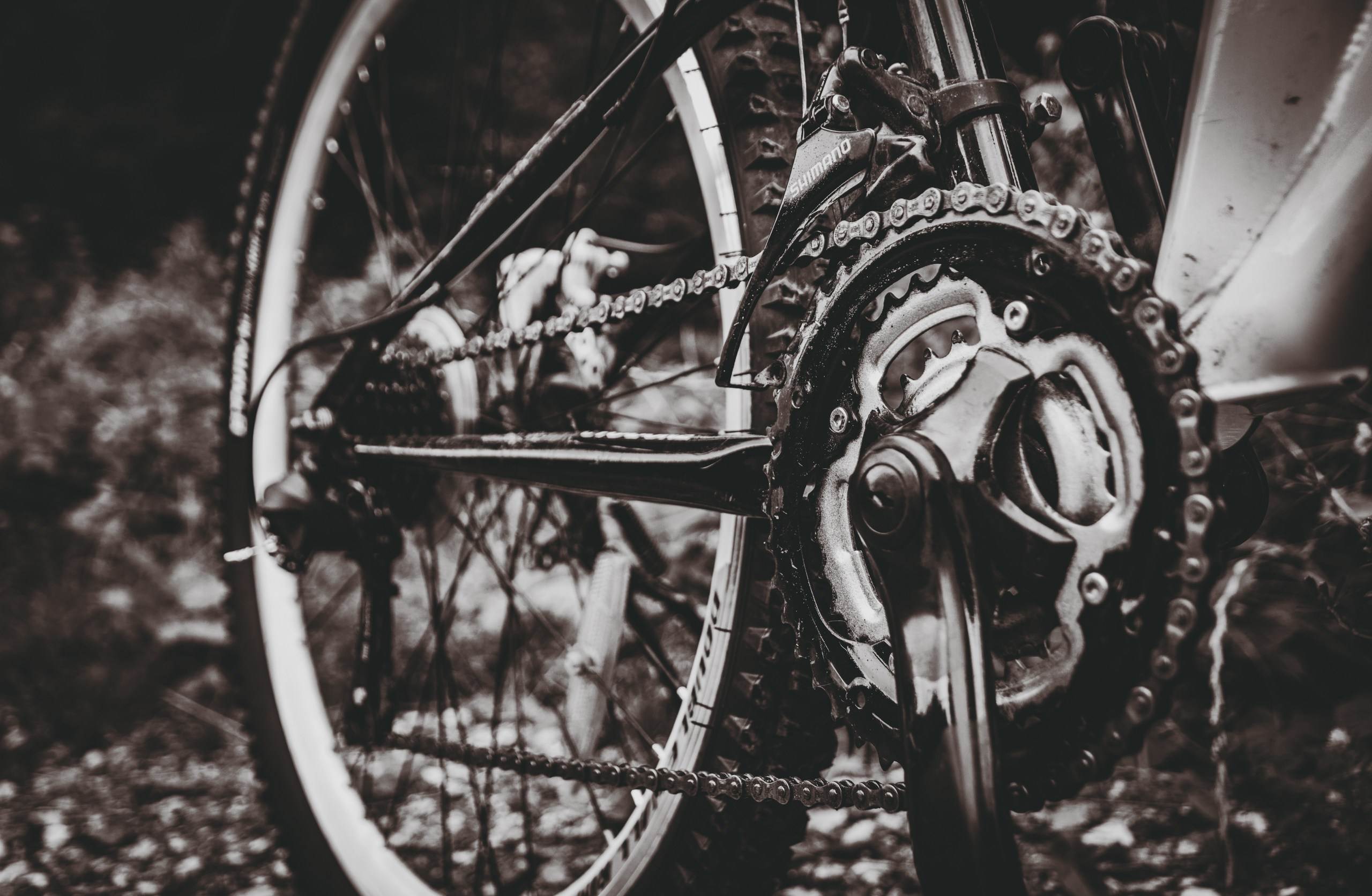 Просто старый велосипед. Nebula 25 — Фотографии для вашей души