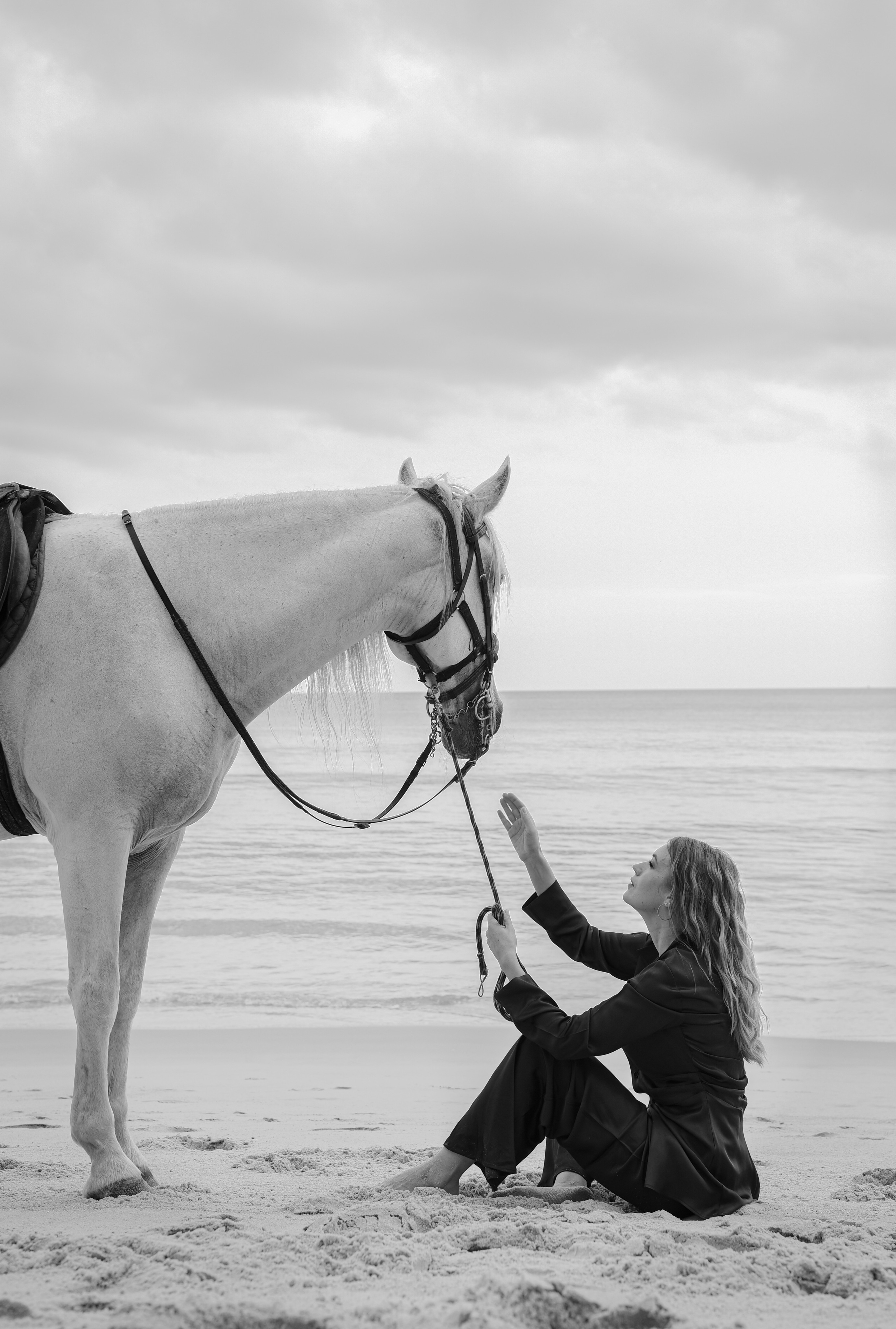 Portraits. Photographer