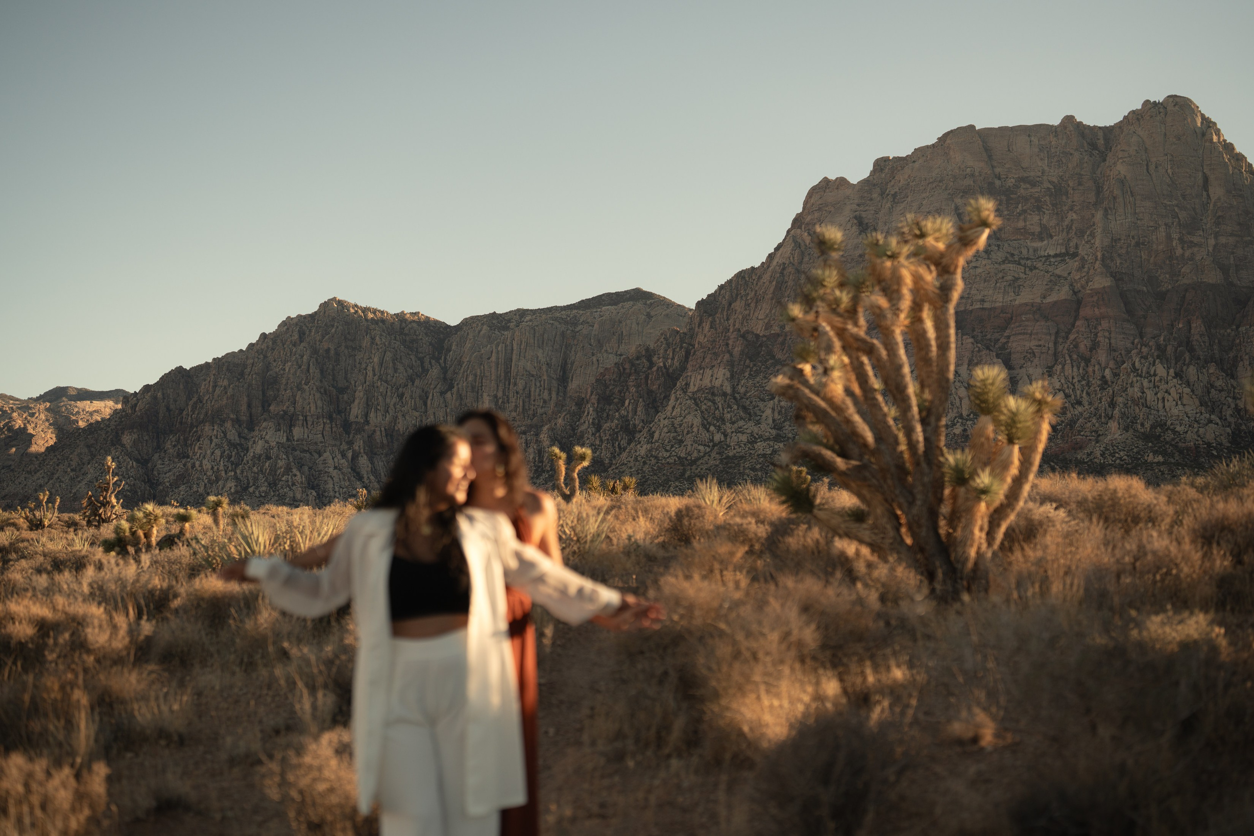 Liz&Fatima. Wedding & elopement photographer Viktoriya Kravtsov. Las Vegas