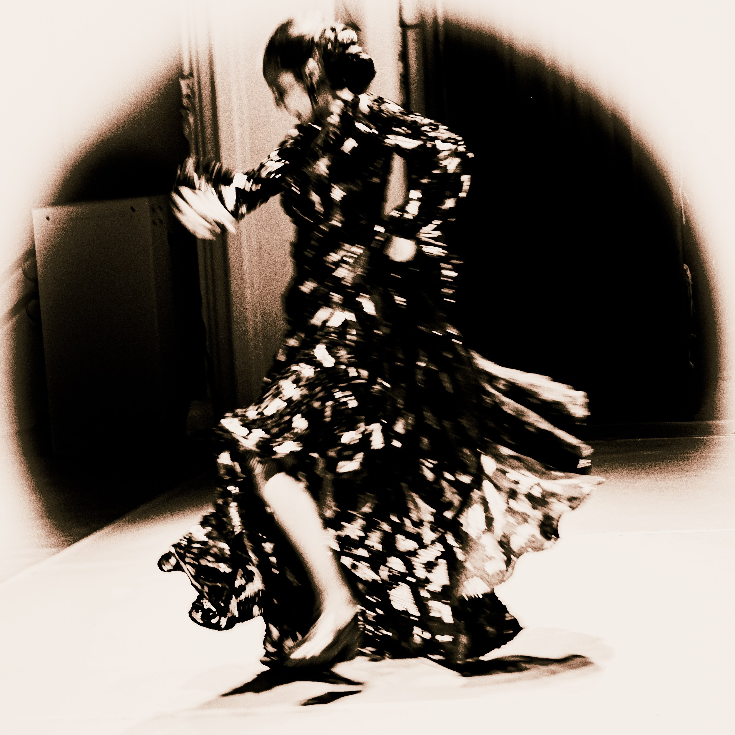 Flamenco spots. Ekaterina Tsurkina-Appina Photography Canada