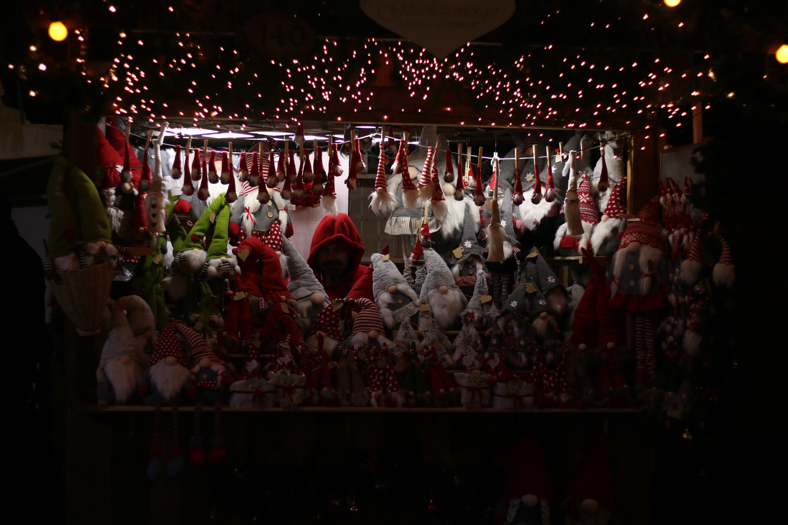 Vienna, Dec.19. Kseny Kolesnik Photography