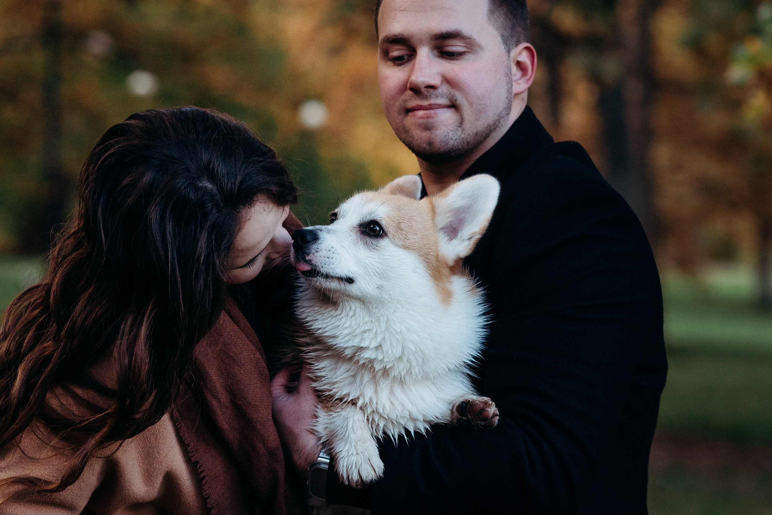 Liisa, Alexander & Marsel. Фотограф-анималист в Таллинне, Катя Лайсаар