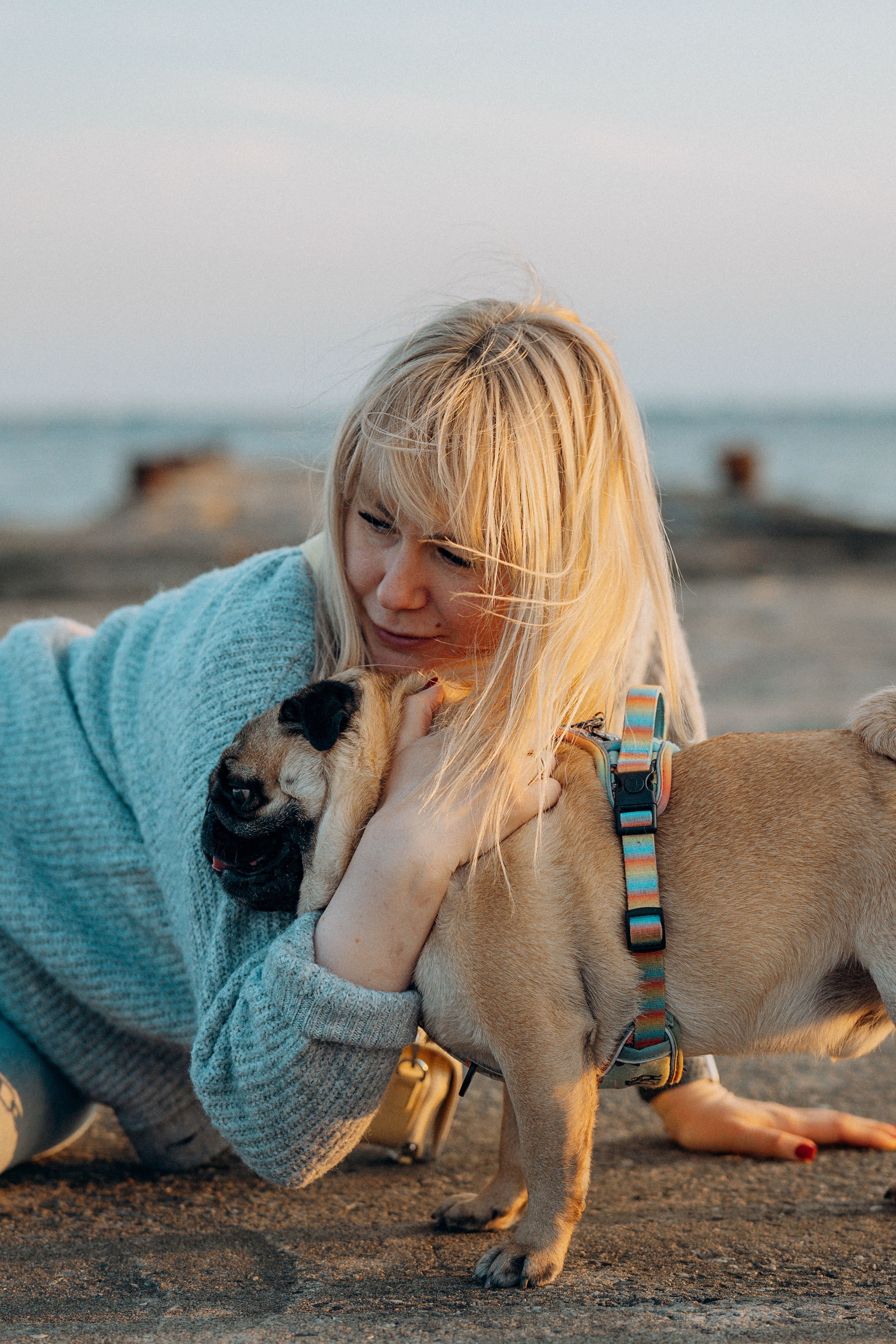 Frank, Tony, Katerina & Lev. Kat Laisaar — Pet photographer in Tallinn