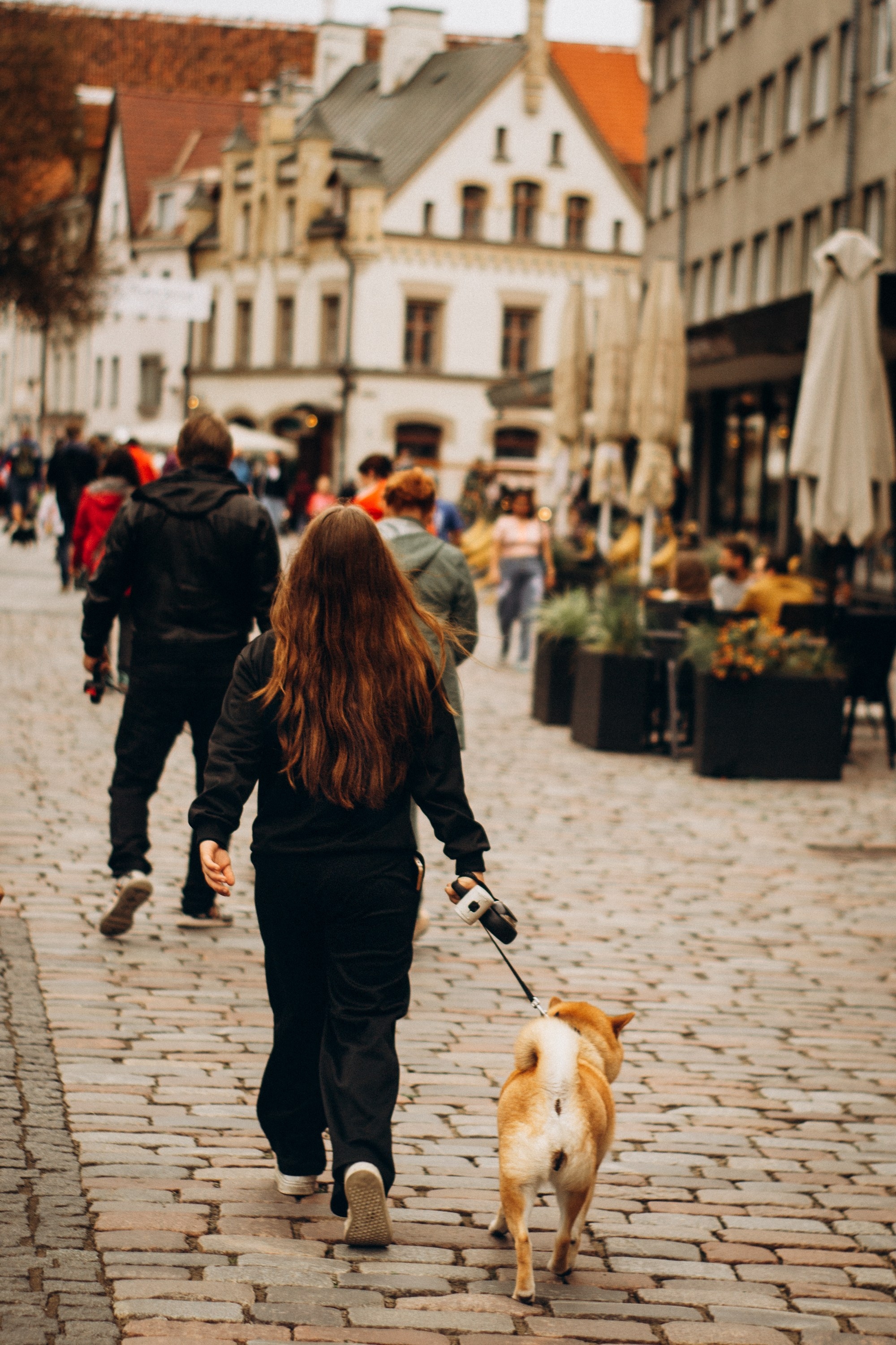 Dog Street Photography in Estonia. Kat Laisaar — Pet photographer in Tallinn