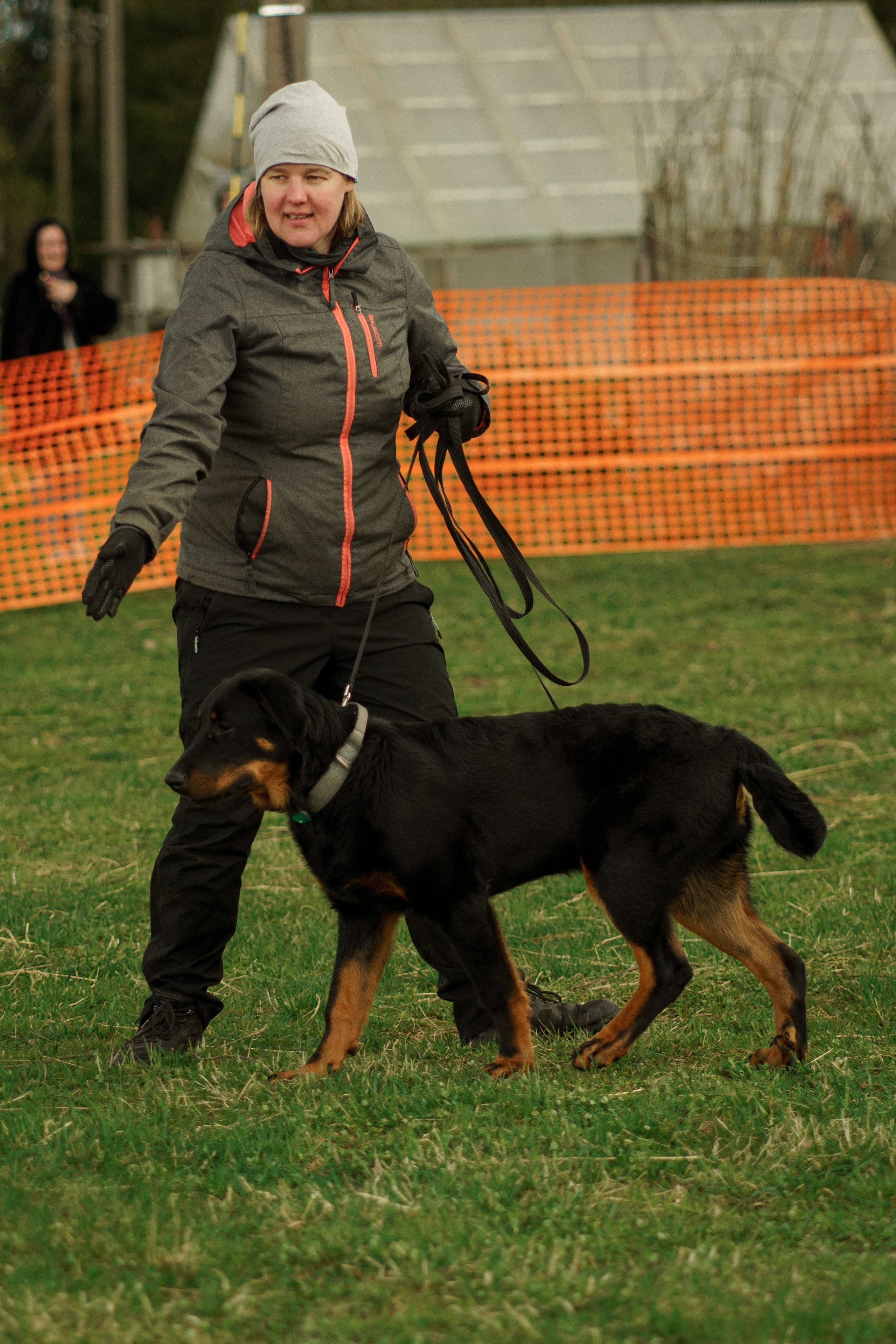 Herding Days, 26 apr. 2025. Kat Laisaar — Pet photographer in Tallinn