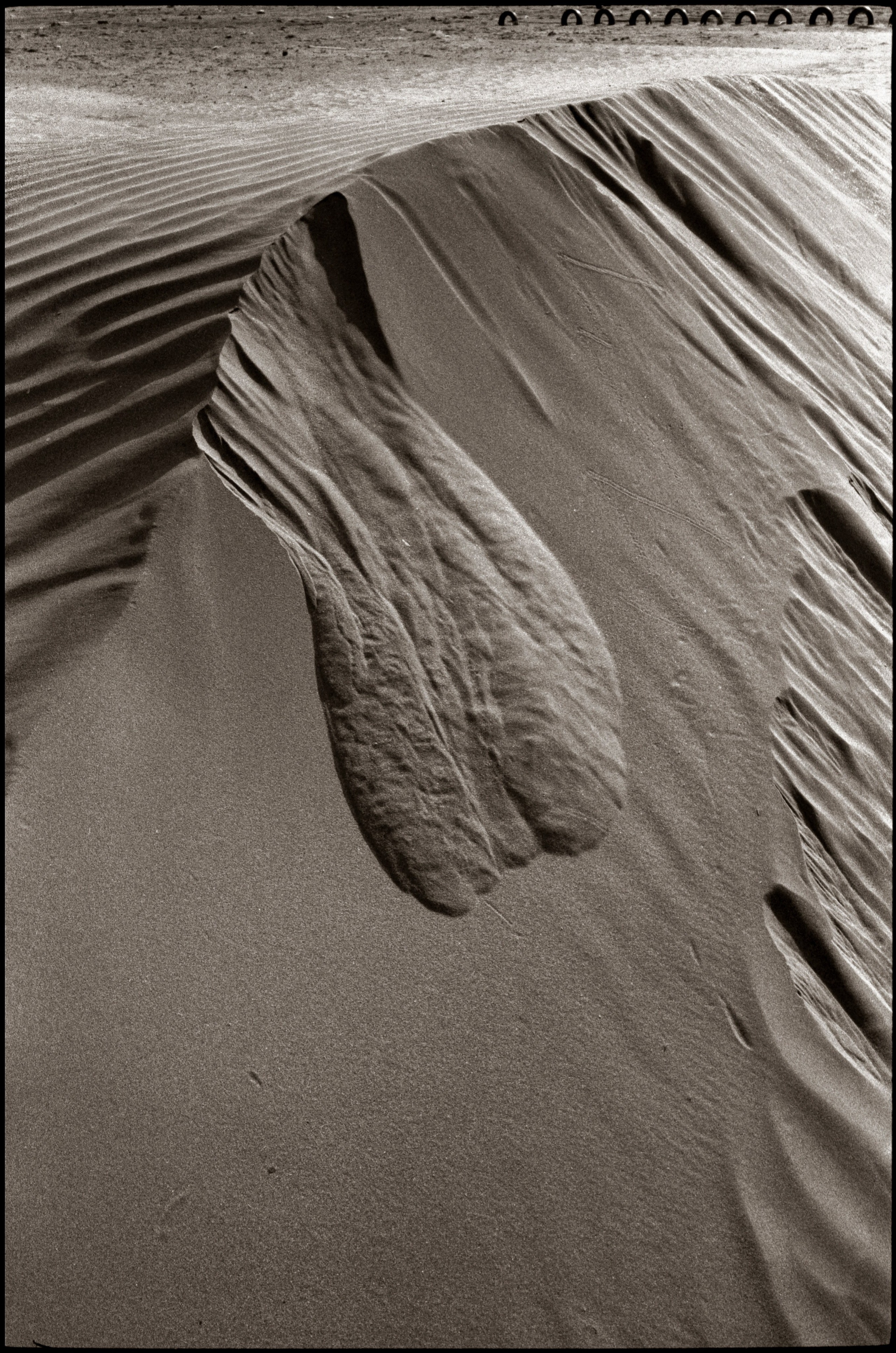 NATURE. Www.sananaleskerov.com