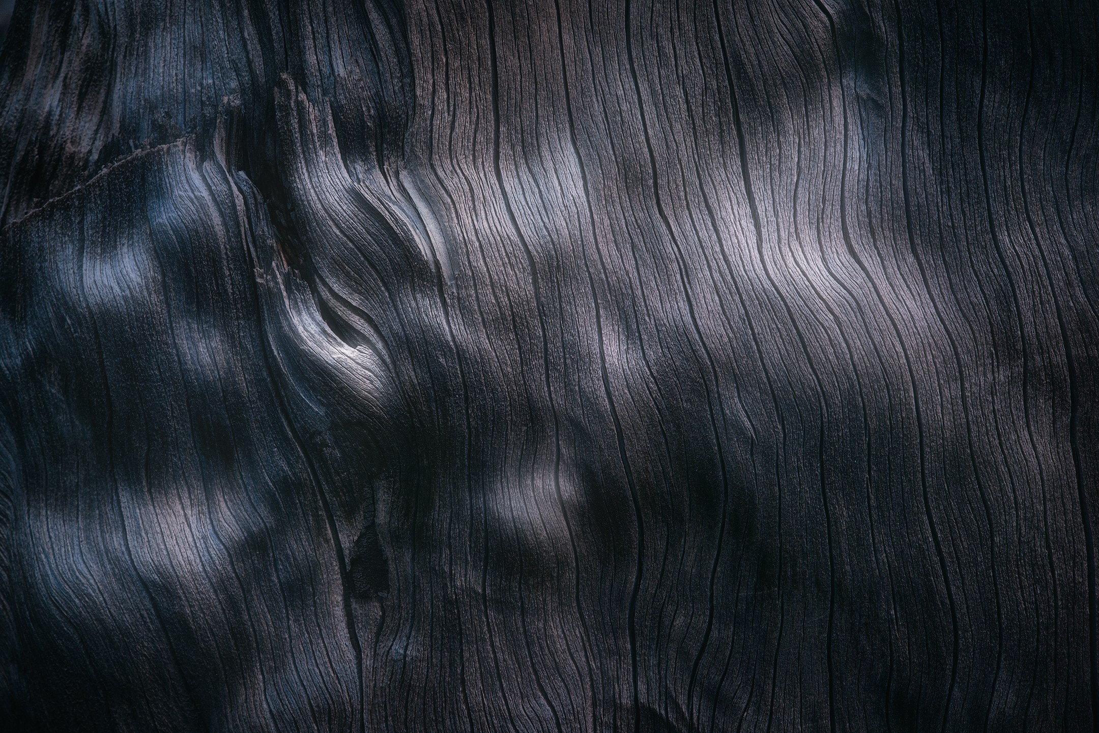 Abstract. Amirhamzeh Mashayekhi Photographer