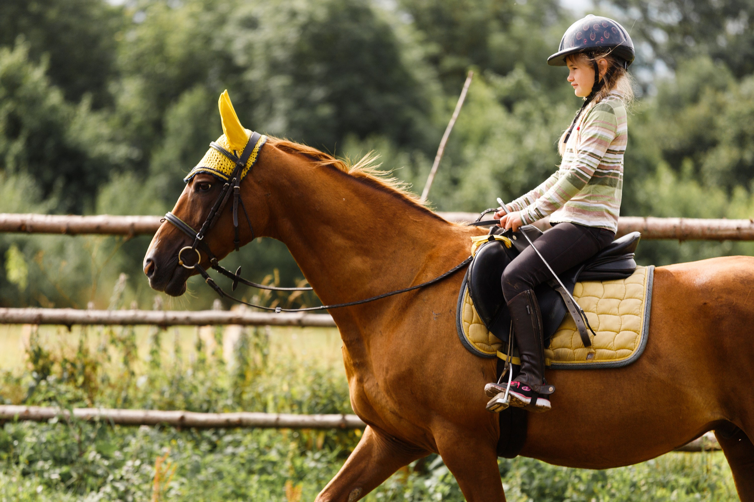 Girls & horses, summer. Kaja | fotograf psów we Wrocławiu