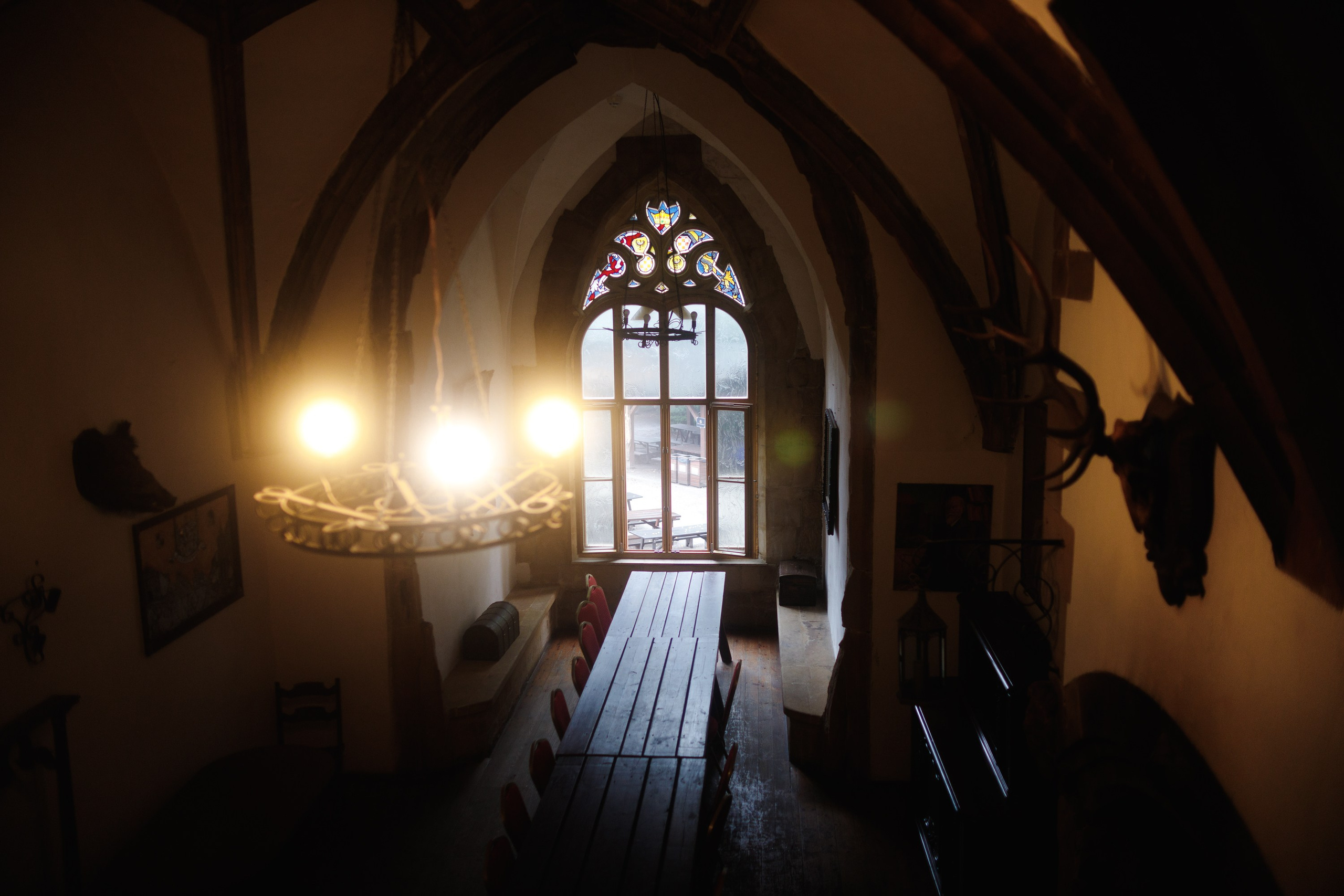 Zamek Grodziec. Kaja | fotograf psów we Wrocławiu