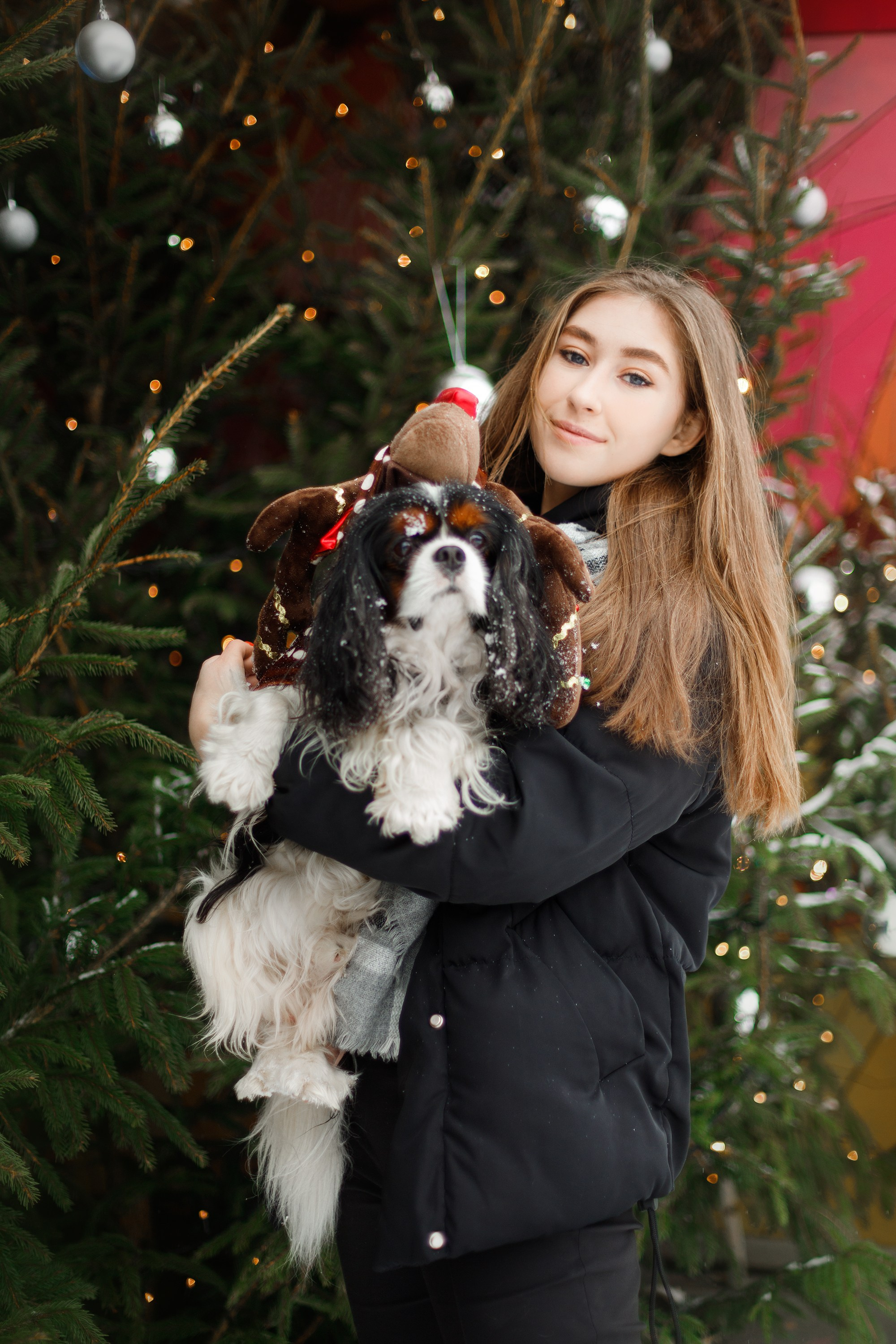 Uliana & winter spaniels. Kaja | fotograf psów we Wrocławiu