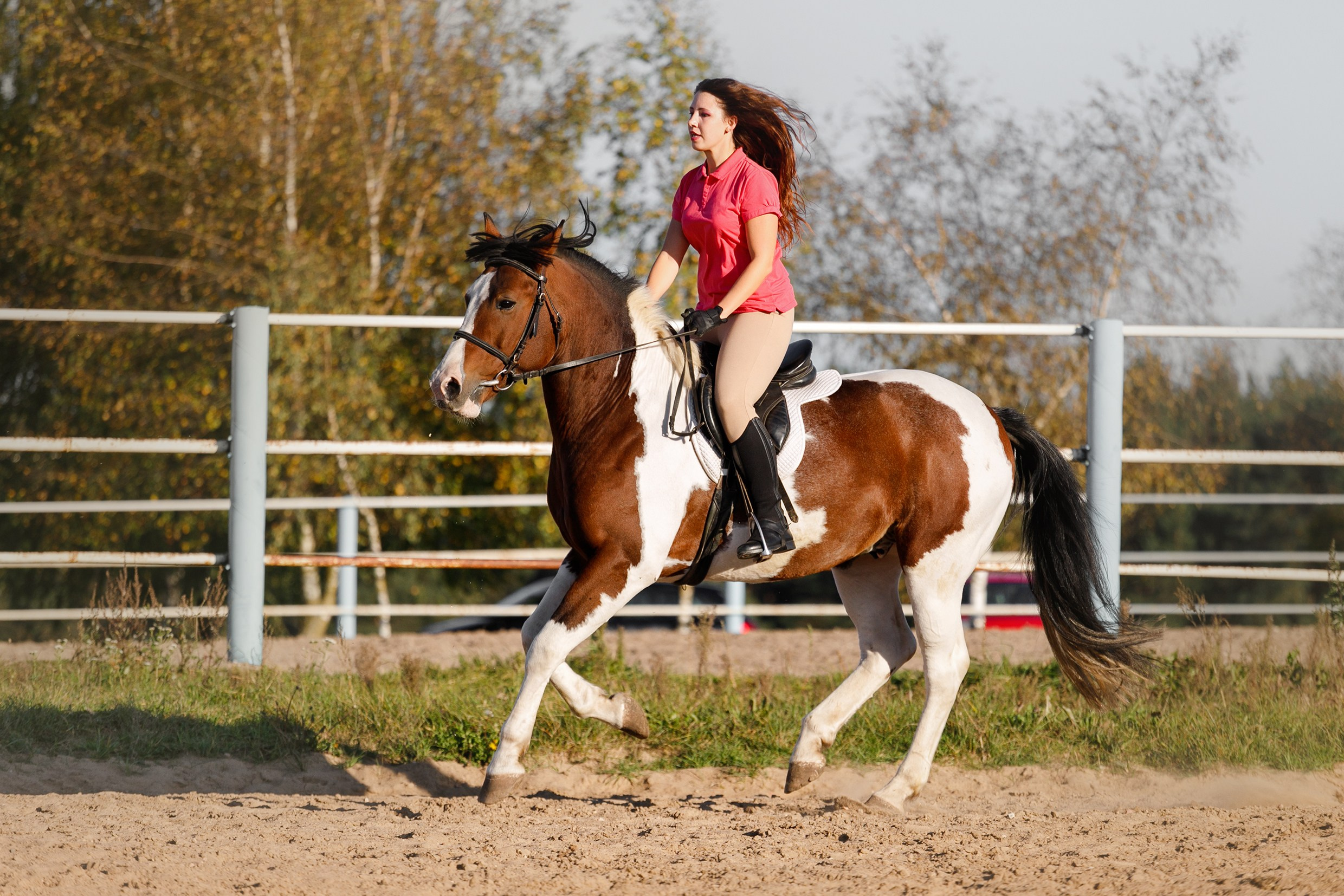 Pegas & Maximus | portrait shooting. Kaja | fotograf we Wrocławiu | ludzie i psy