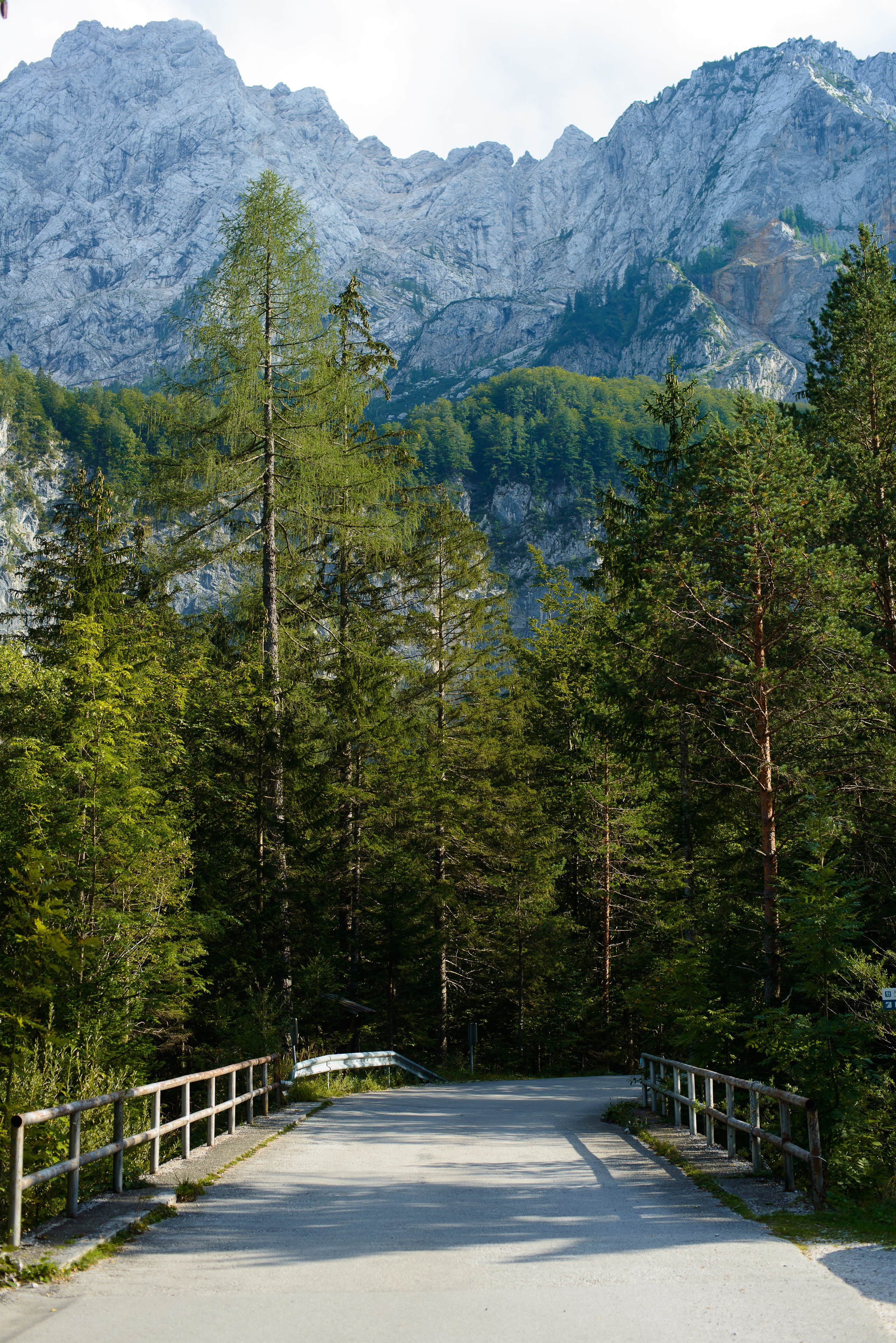 Family photoshoot in Logarska valley. Wedding and Family Photographer in Slovenia