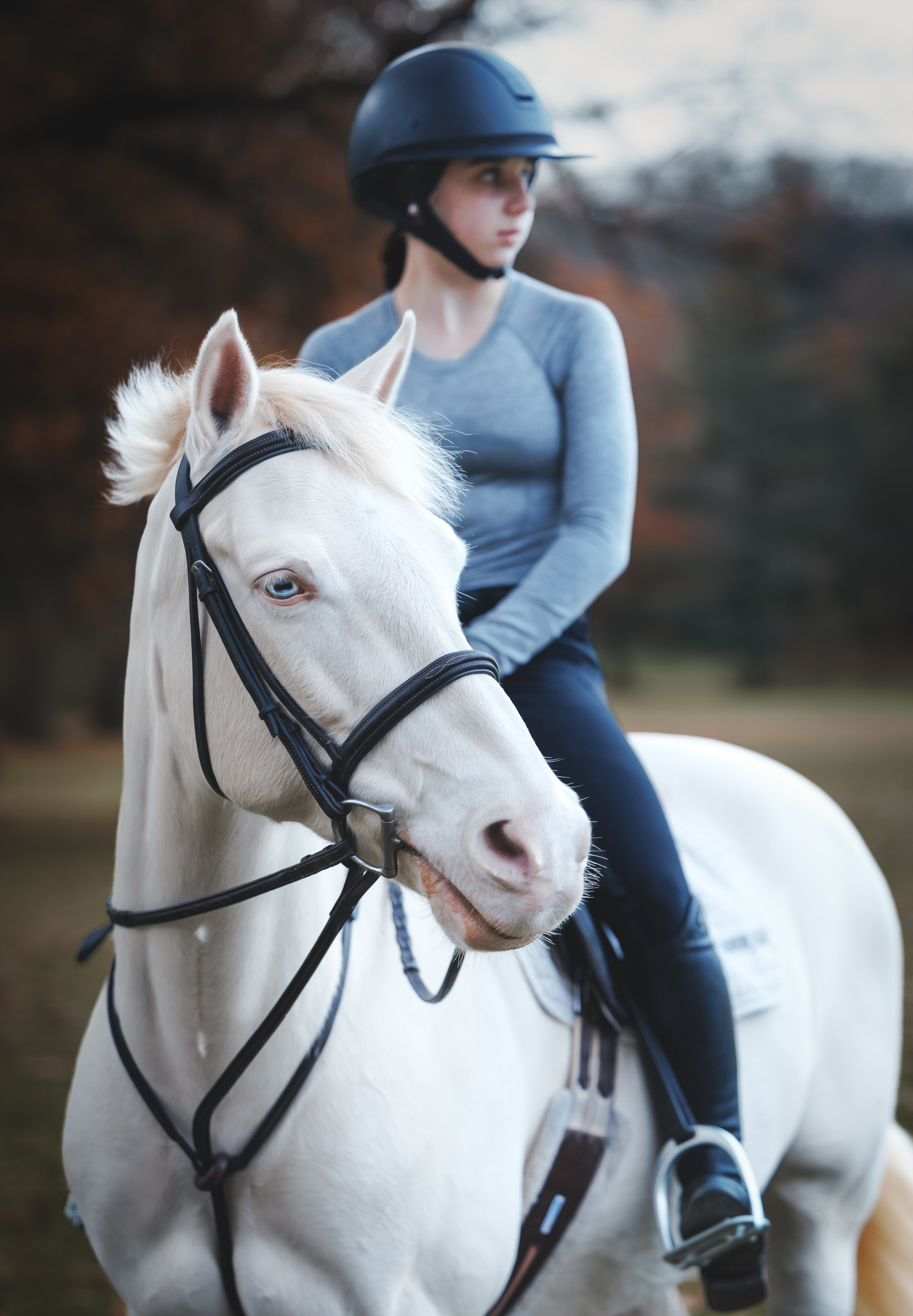 Mel & Christina. Pet Photographer Viktoriya Aleshenko