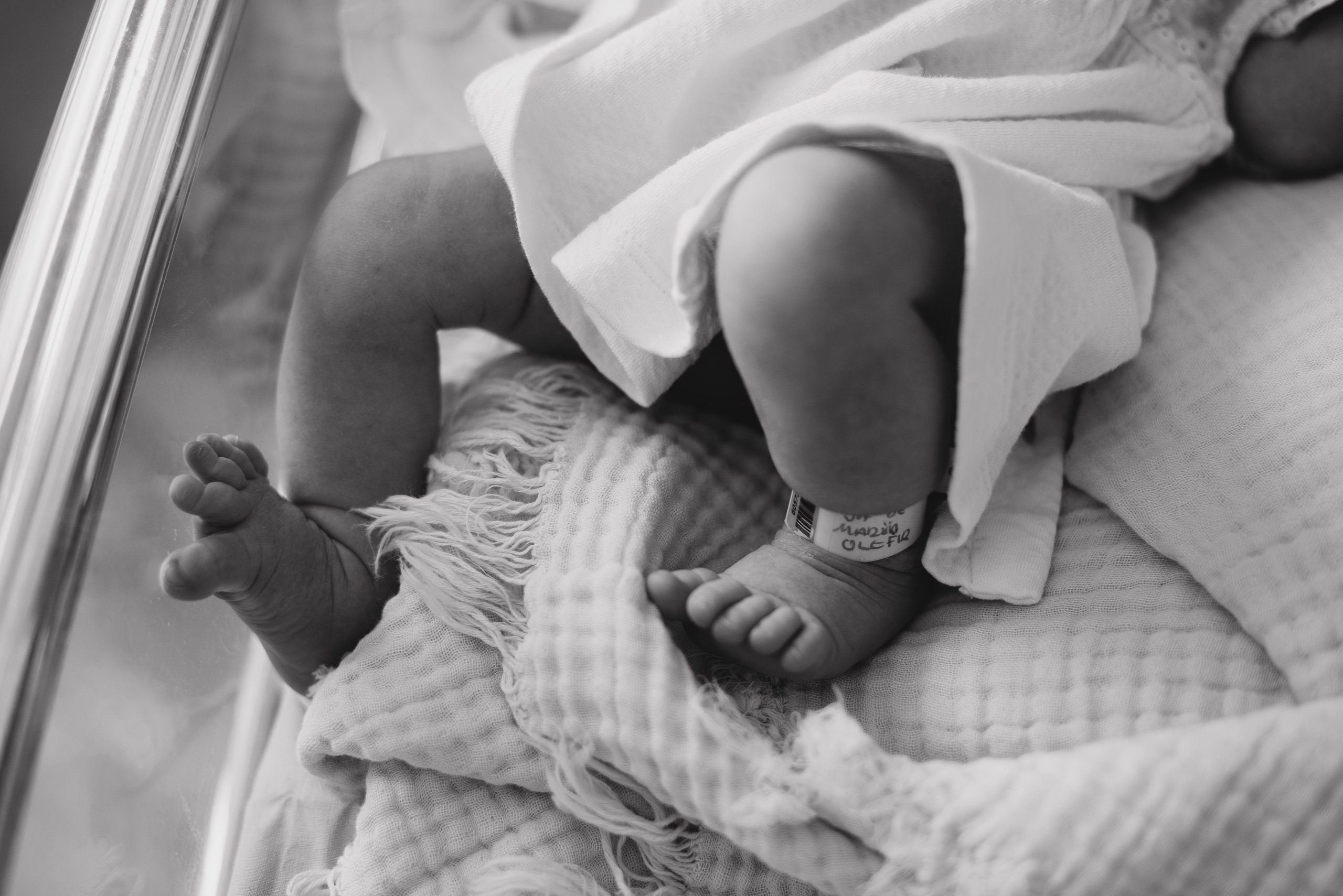 Fresh 48. Https://newbornphoto.wfolio.pro/me