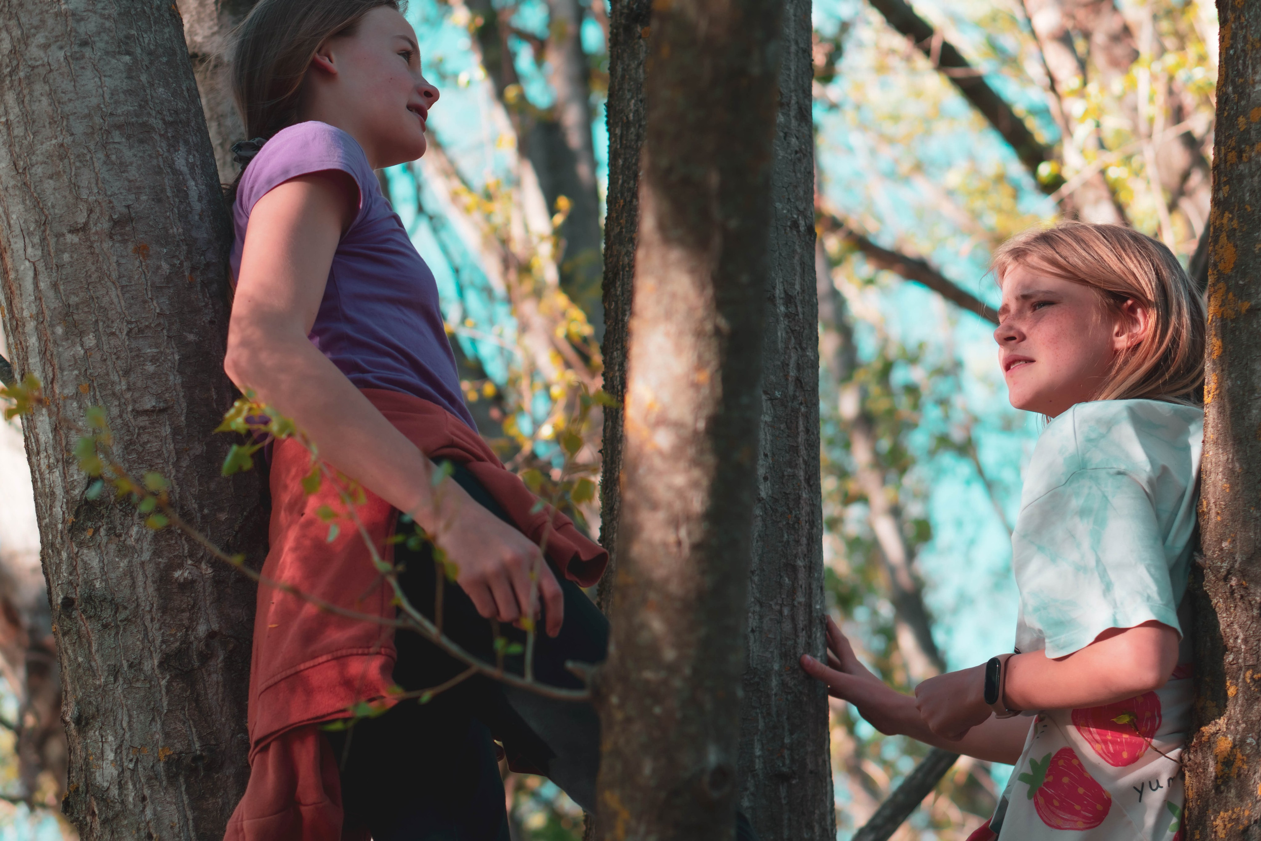 Noa&Agnia. Alba del Norte Studio