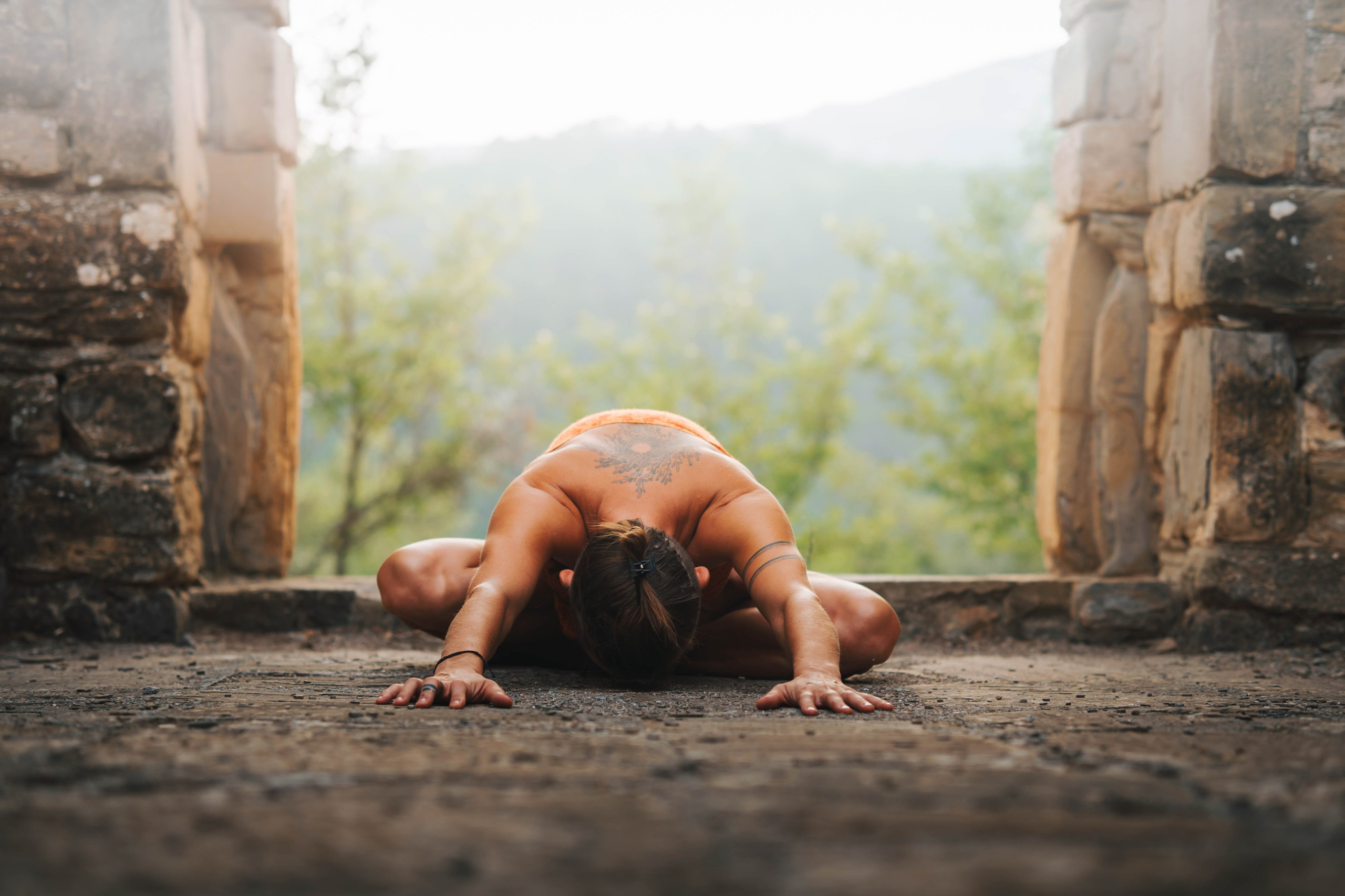 Kinga. Alba del Norte Studio