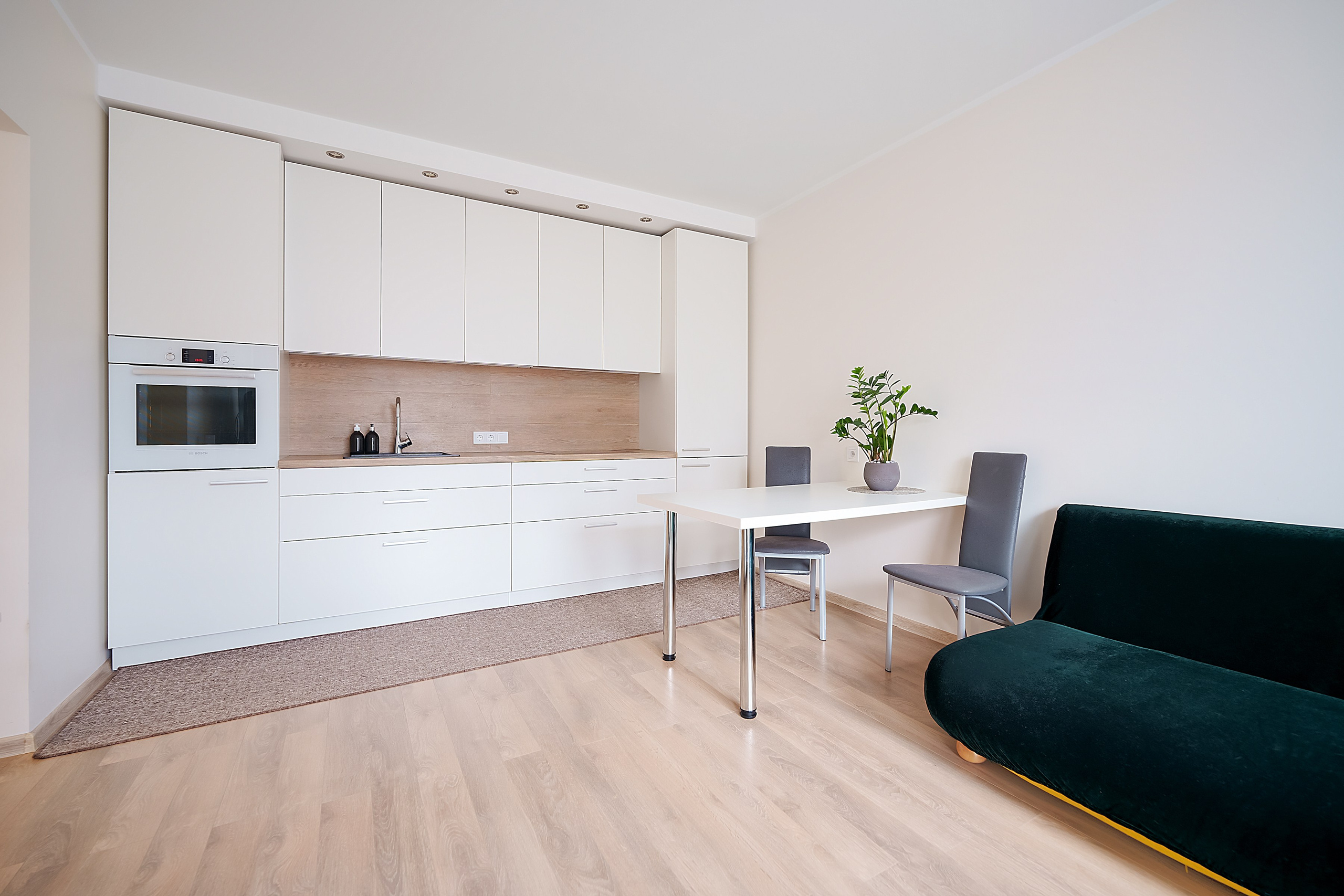 Stanevičiaus g. 64. Elina Sapiega fotografė Vilniuje