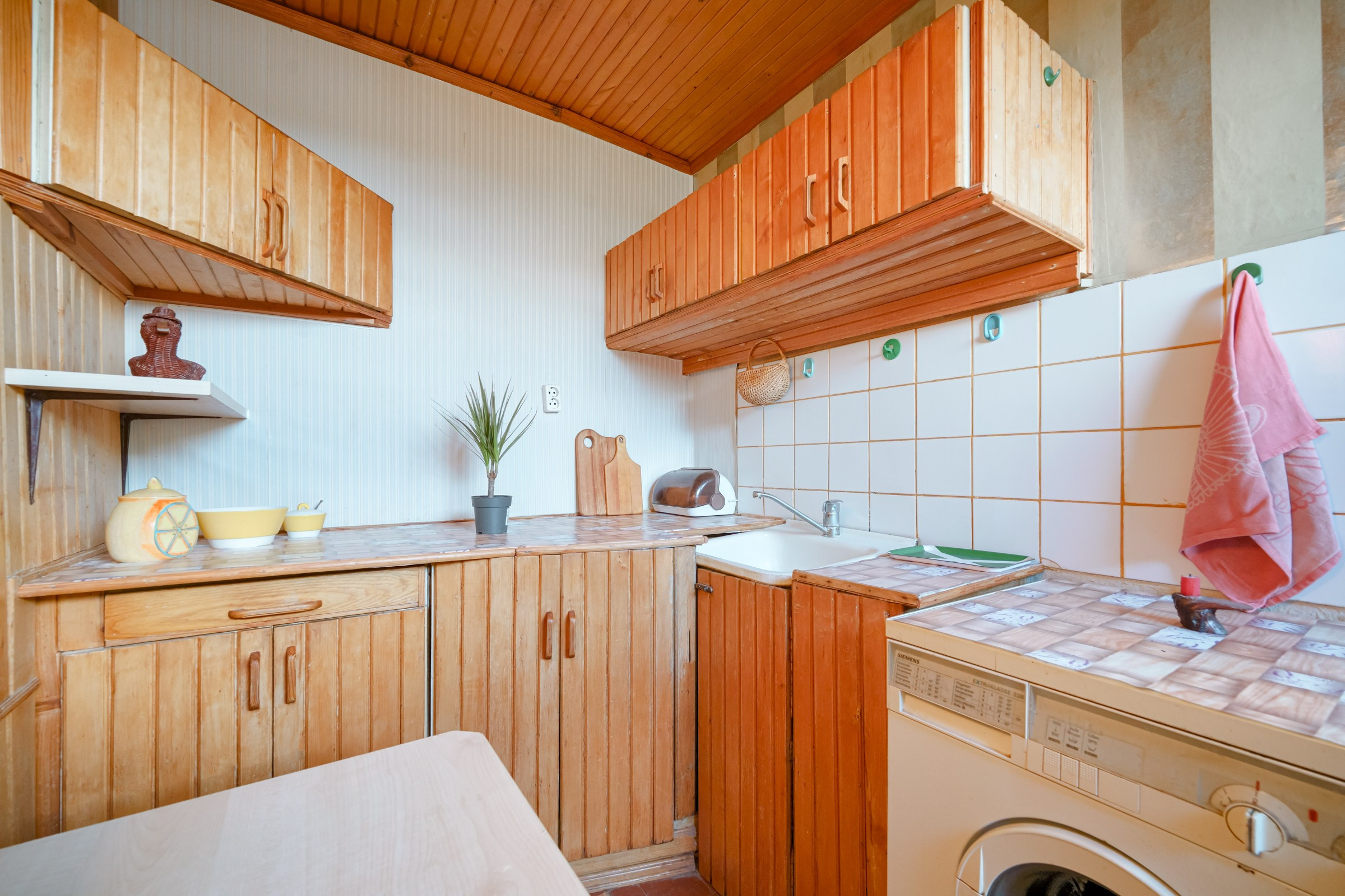 Grigiškes, Vilniaus g. Elina Sapiega fotografė Vilniuje