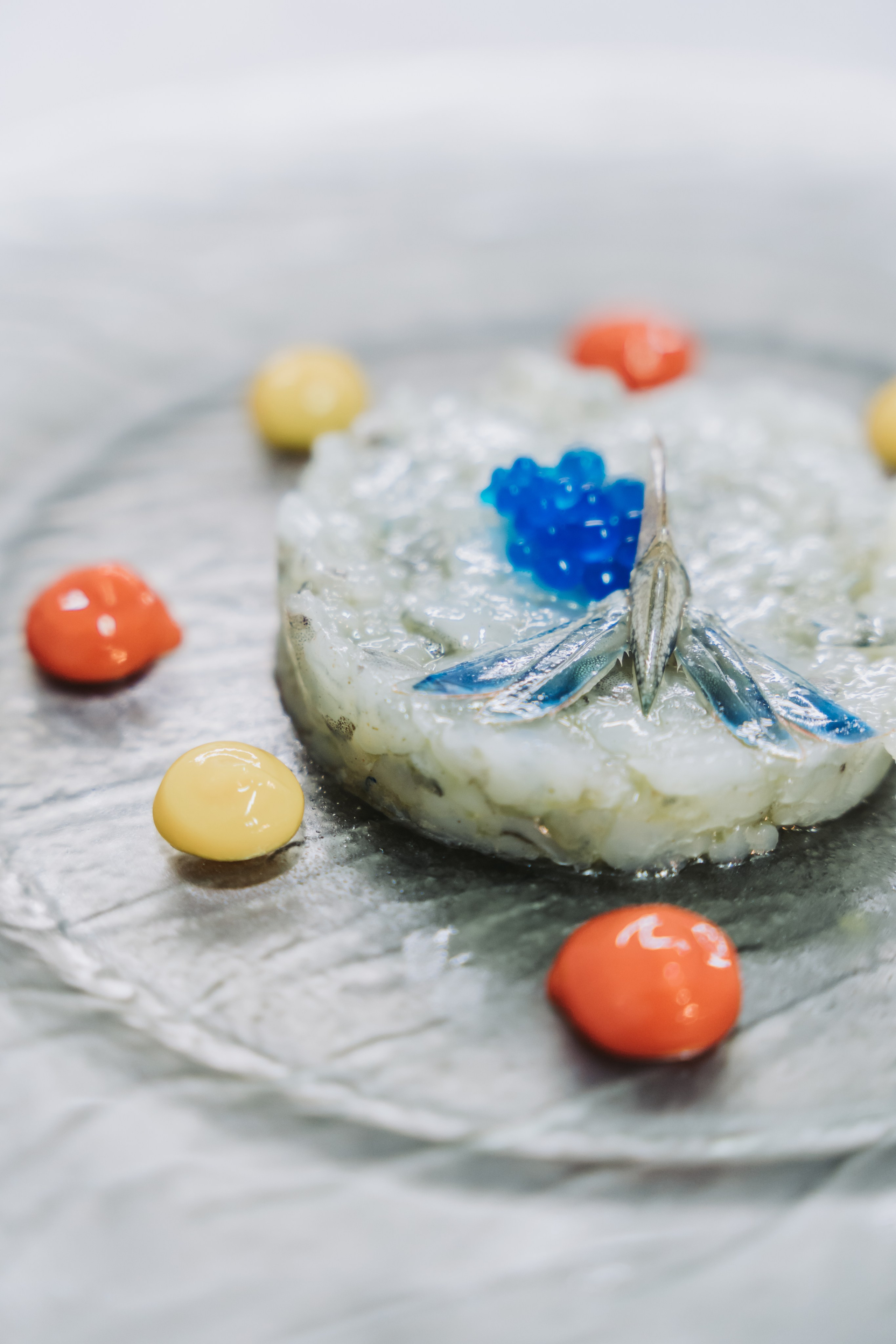 Hotel spiaggia d’oro - Lago di Garda. Fotografia e video