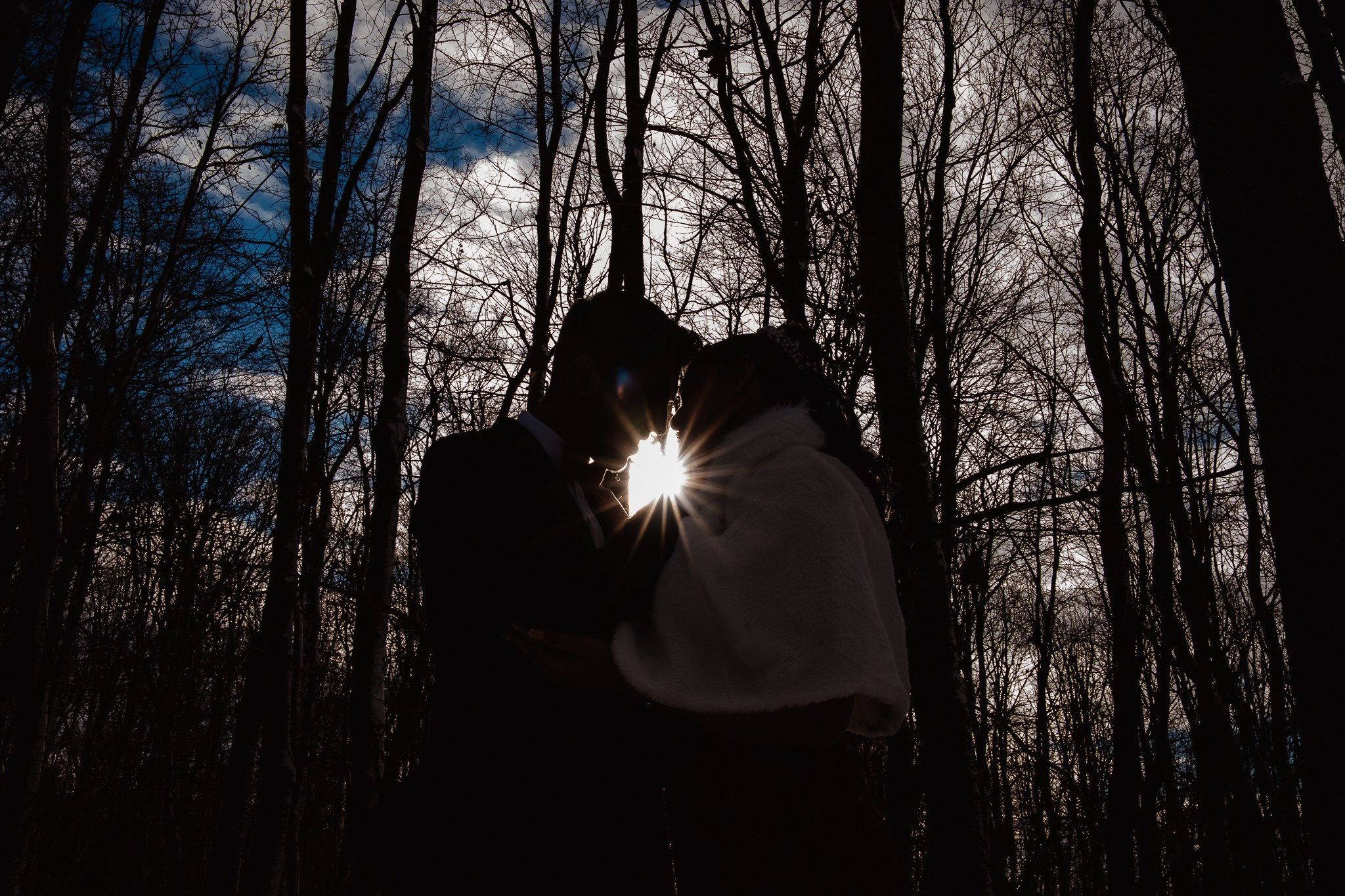 Silueta miri in natura