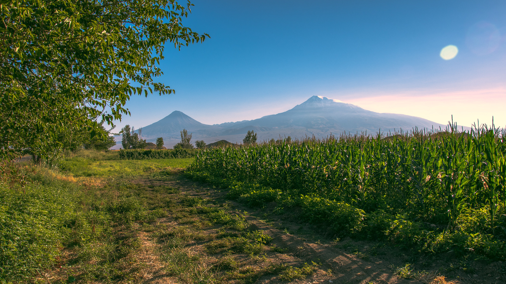 Hochzeitsfotograf Würzburg – Anna Saribekyan | Natürliche Hochzeitsfotografie. Hochzeitsfotograf Würzburg | Anna Saribekyan